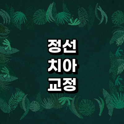 정선군 교정 치과