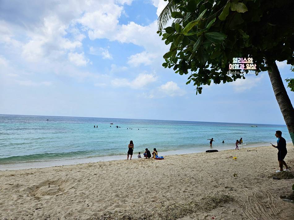 보홀 자유여행 가볼만한곳 여행코스 추천 말루안 비치, 히낙다단 동굴, 안경원숭이 보호구역 포함