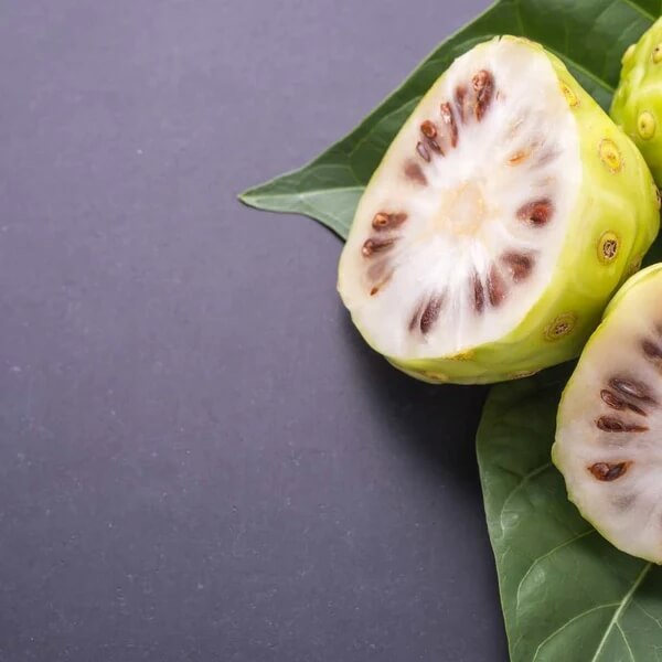 노니 효능 부작용 분말 복용법 56