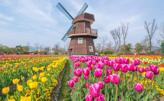 순천만국제정원박람회