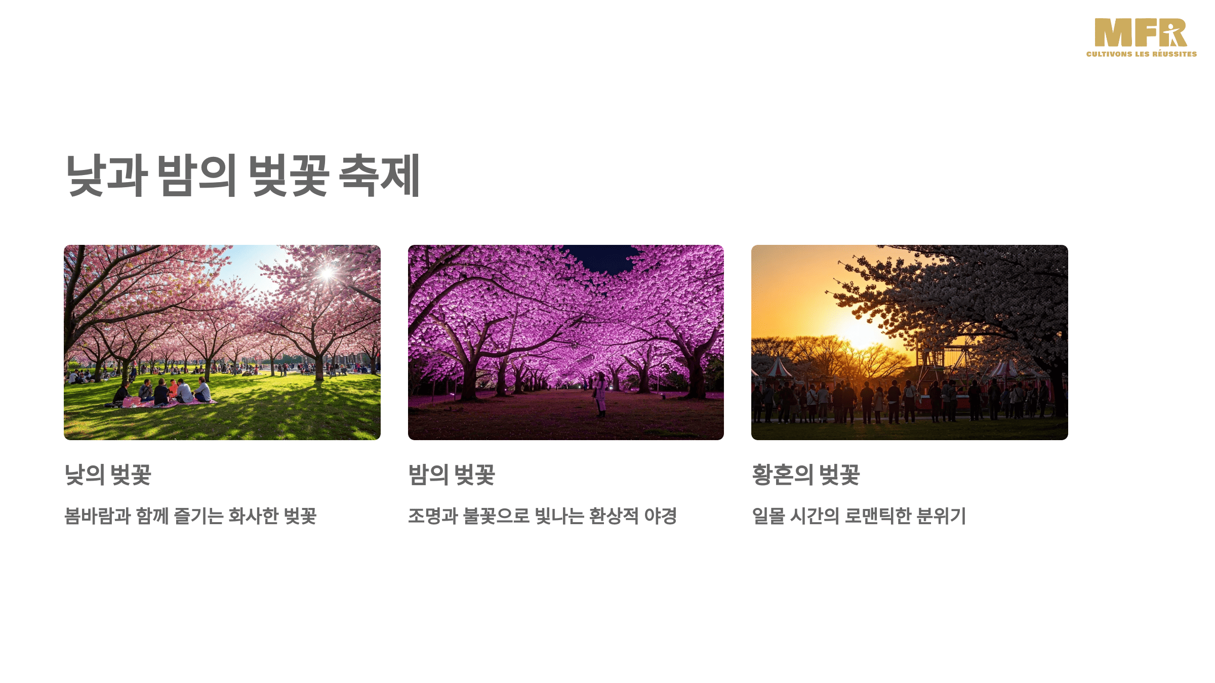 이월드 30주년 기념! 벚꽃 축제에서 만나는 특별한 봄날