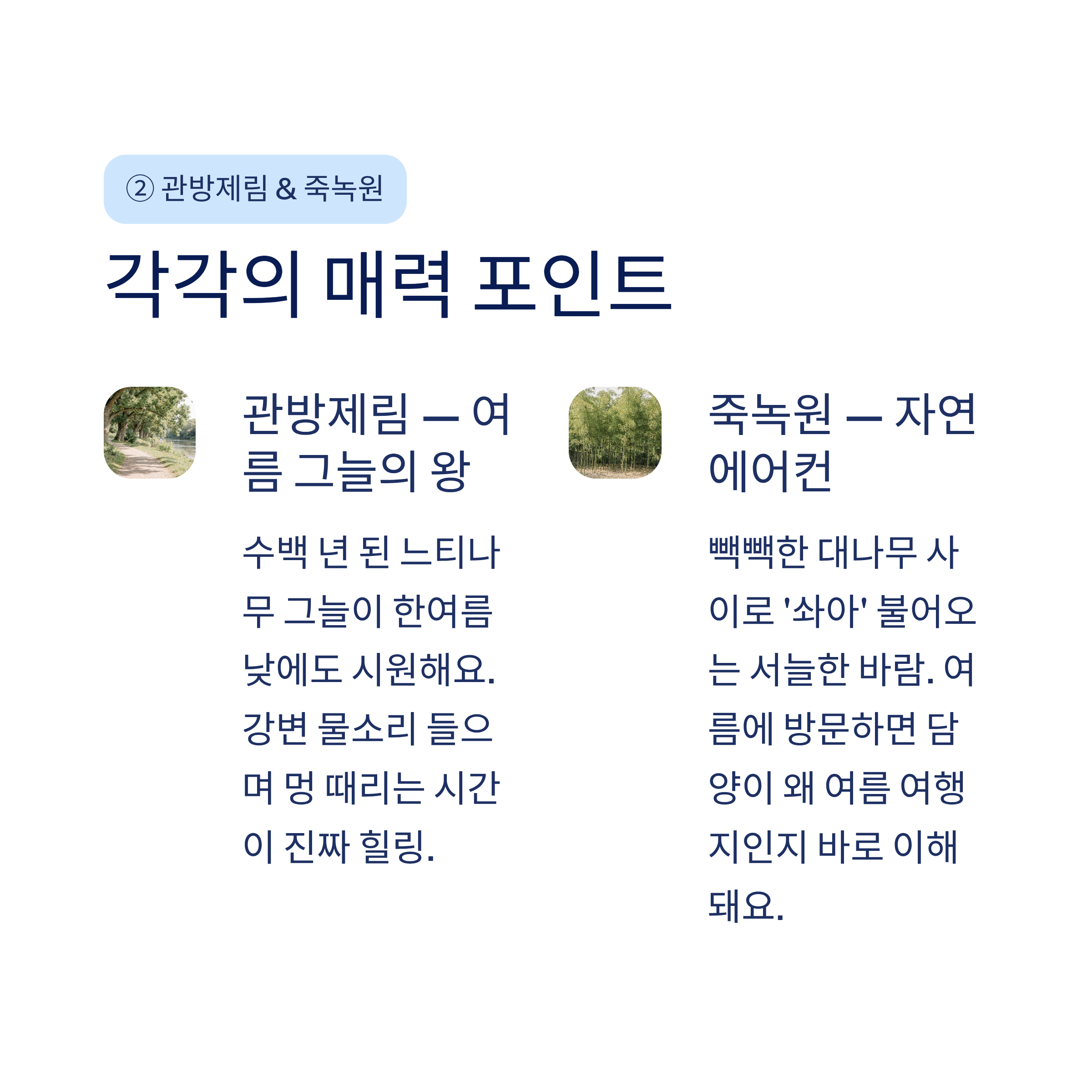 담양 메타세쿼이아길부터 추월산까지 &mdash; 걷기 명소 5선 완벽 가이드 2026