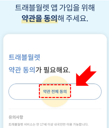 트래블월렛 카드