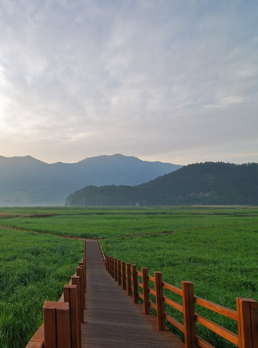 2024 순천만 갈대축제 입장료, 일정 및 프로그램 사전예약