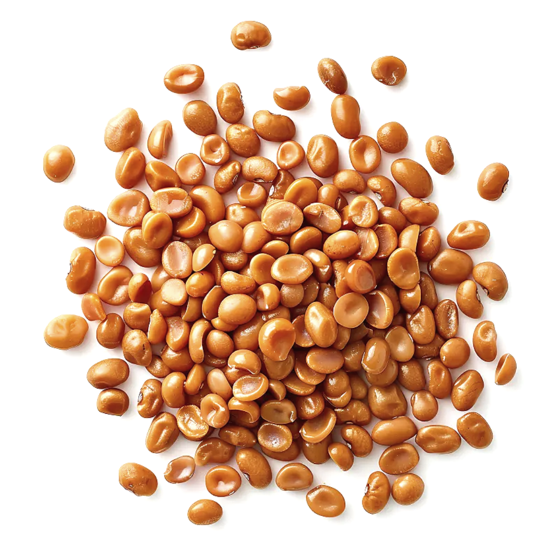 루피니빈(루핀콩)과 저속노화: 건강한 노화를 위한 슈퍼푸드