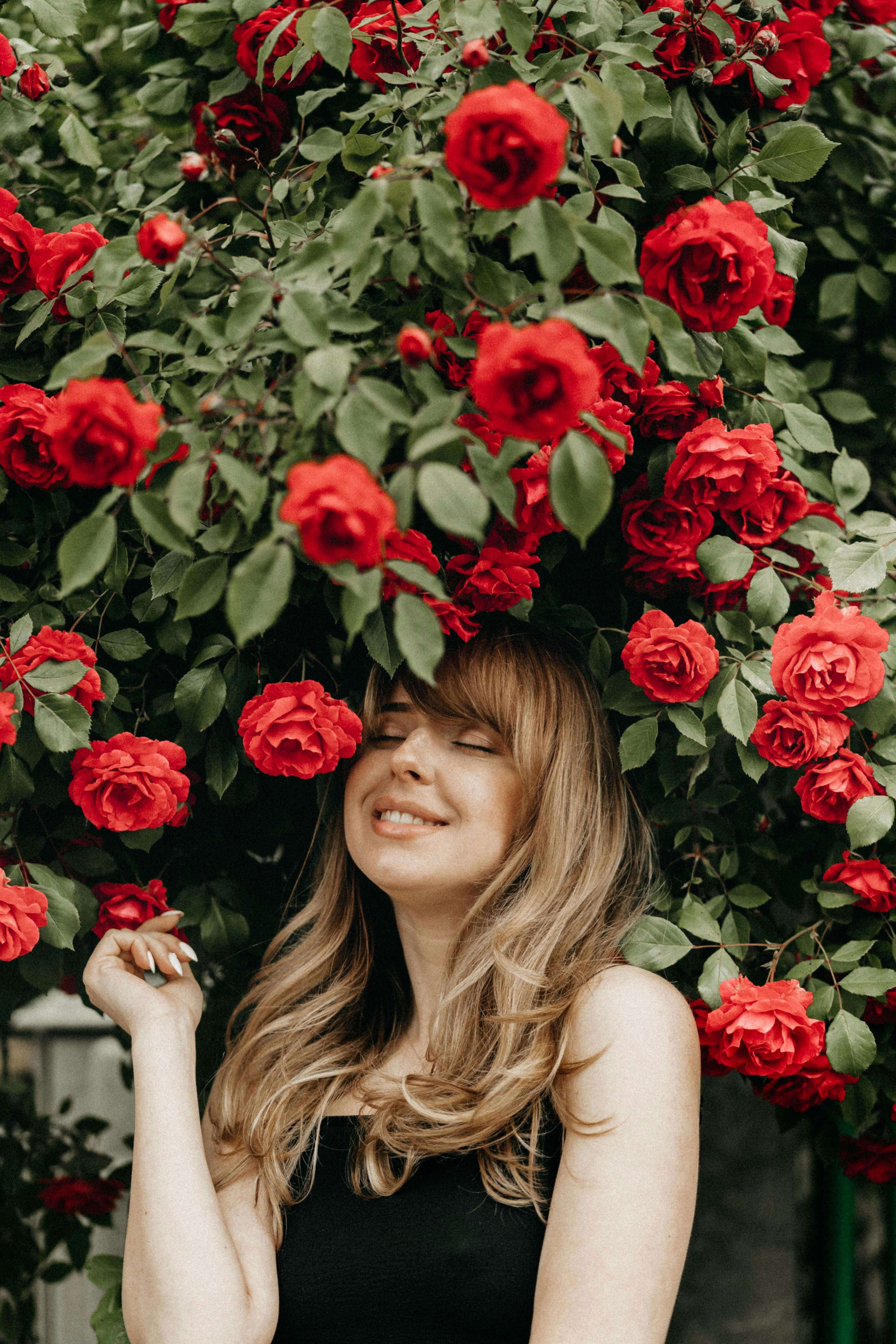 2024 서울장미축제 기간, 소개, 주차팁, 지도