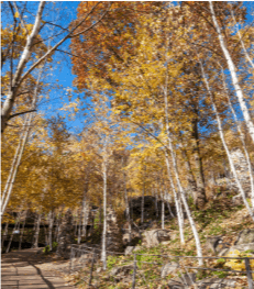 2025년 화담숲 예약