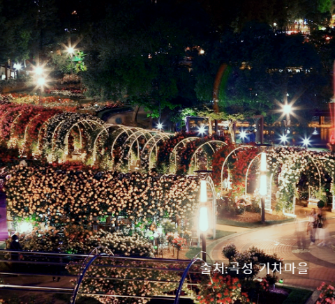 곡성 기차마을 세계 장미 축제