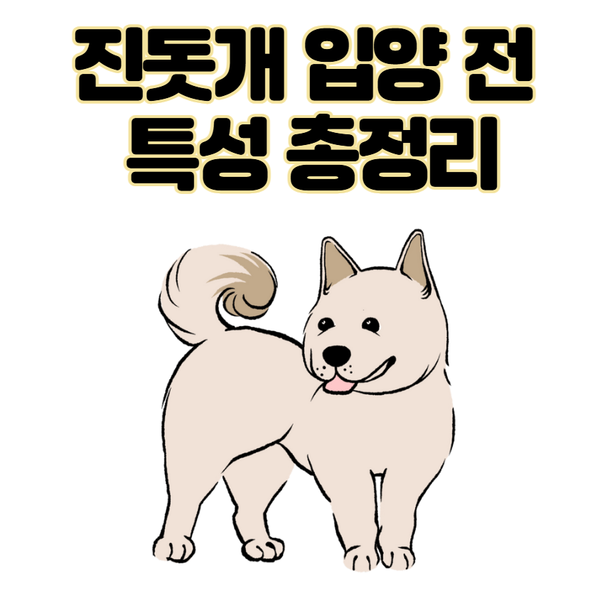 진돗개 입양 까다로울까? 성격, 수명, 특성 총정리