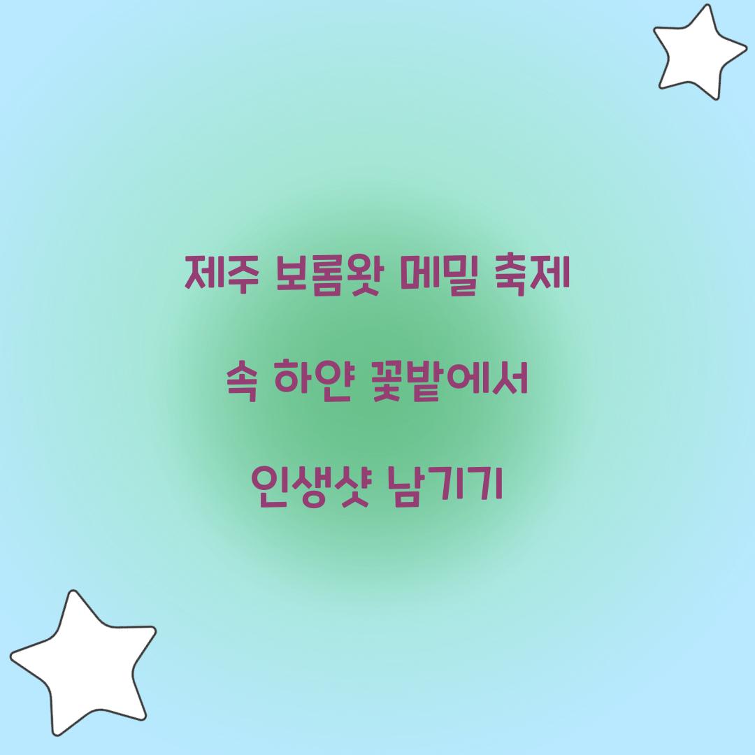 제주 보롬왓 메밀 축제