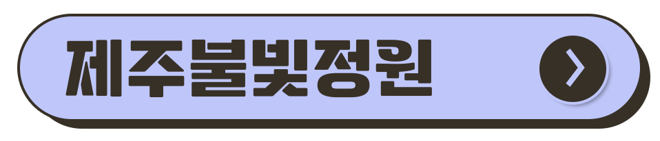 제주도 축제