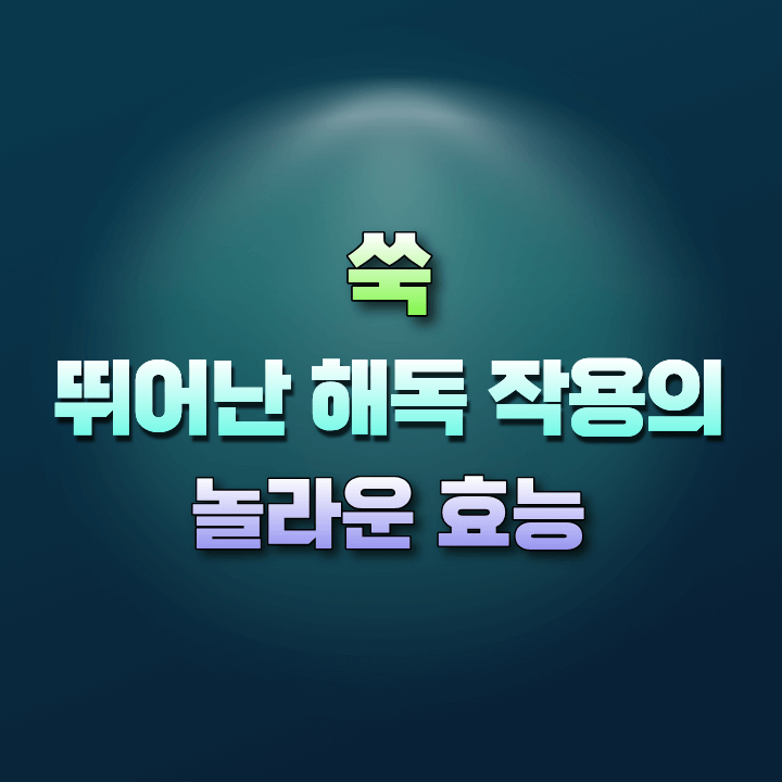 쑥의효능