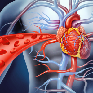 페노피브레이트 관련주 대장주 테마주 수혜주 TOP10