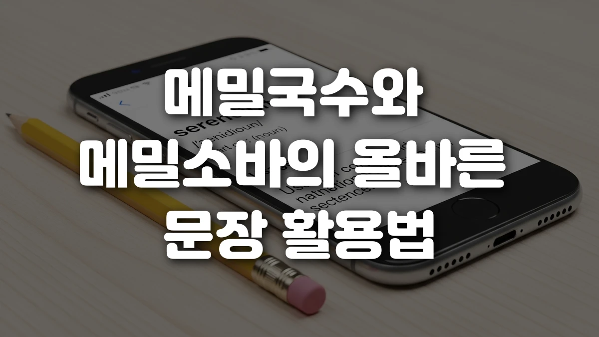 메밀국수와 메밀소바의 올바른 문장 활용법