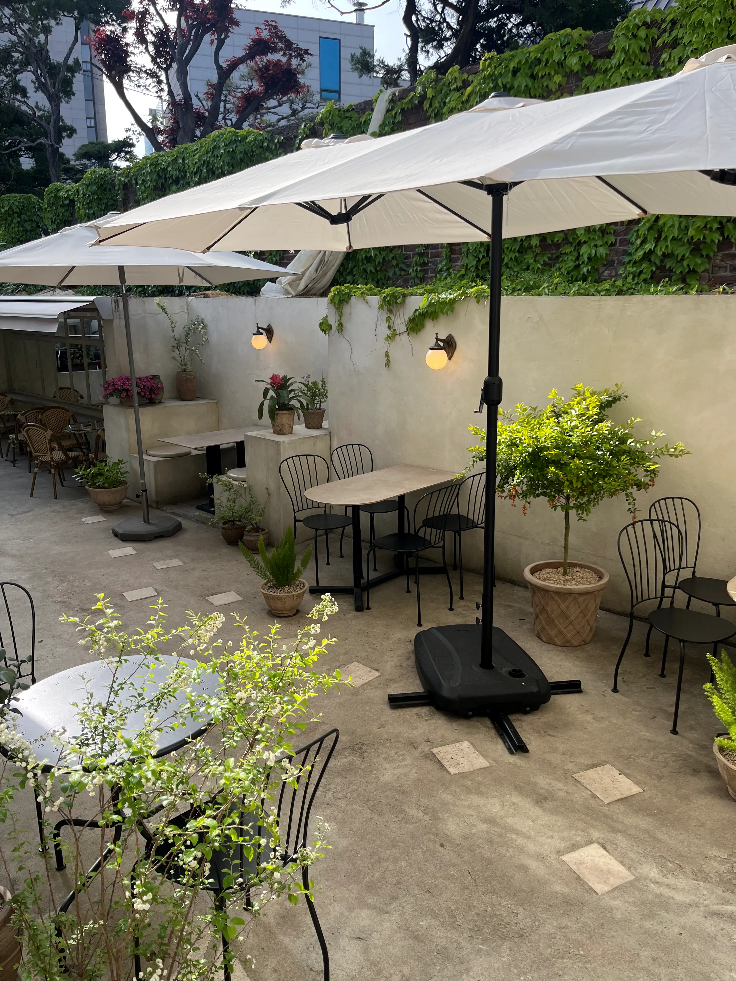 콘드에뻬뻬 뒷마당