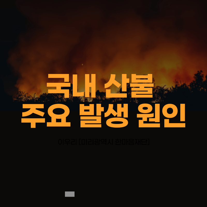 국내 산불 주요 발생 원인 총정리