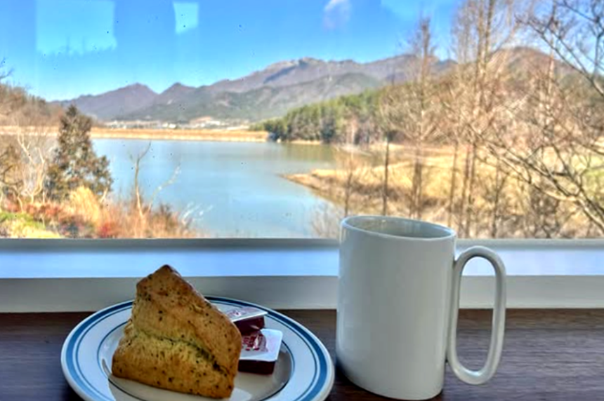 특색있고 아름다운 민간 정원 30선 추천 여행 - 08. 해남 문가든