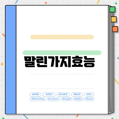 말린가지효능