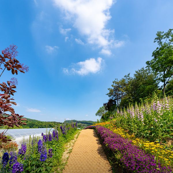 아름다운정원 화수목