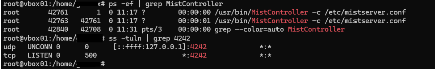 MistServer 동작 확인 화면