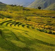 농업경영체 등록 조건과 방법