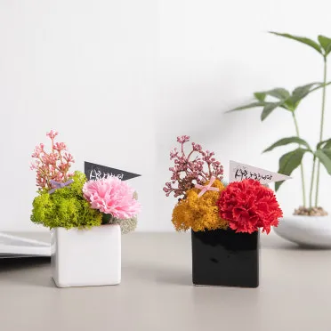 카네이션 화분 키우는 방법 생화 꽃바구니 관리_8