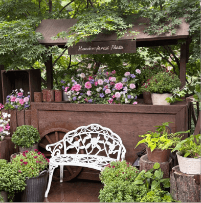 화담숲 반려동물 반입 금지 및 관람 유의사항 이미지.