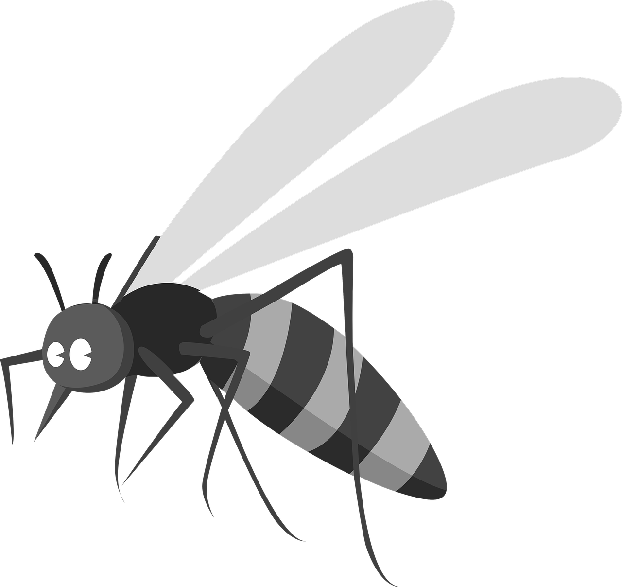 러브 버그 퇴치방법&amp;#44; 러브 버그 익충&amp;#44; 러브 버그 시기&amp;#44; 러브 버그 모기&amp;#44; 러브 버그 방역&amp;#44; 러브 버그 퇴치법&amp;#44; 러브 버그 수명&amp;#44; 러브 버그 천적&amp;#44; 러브 버그 살충제&amp;#44; 러브 버그 출몰&amp;#44; 러브버그퇴치익충&amp;#44; 러브 버그 출몰지역&amp;#44; 러브버그 익충 이유&amp;#44; 러브버그 퇴치제&amp;#44; 러브버그 출몰 시기&amp;#44; 러브버그 원산지&amp;#44; 러브 버그 퇴치방법&amp;#44; 러브 버그 익충&amp;#44; 러브 버그 시기&amp;#44; 러브 버그 모기&amp;#44; 러브 버그 방역&amp;#44; 러브 버그 퇴치법&amp;#44; 러브 버그 수명&amp;#44; 러브 버그 천적&amp;#44; 러브 버그 살충제&amp;#44; 러브 버그 출몰&amp;#44; 러브버그퇴치익충&amp;#44; 러브 버그 출몰지역&amp;#44; 러브버그 익충 이유&amp;#44; 러브버그 퇴치제&amp;#44; 러브버그 출몰 시기&amp;#44; 러브버그 원산지&amp;#44; 러브 버그 퇴치방법&amp;#44; 러브 버그 익충&amp;#44; 러브 버그 시기&amp;#44; 러브 버그 모기&amp;#44; 러브 버그 방역&amp;#44; 러브 버그 퇴치법&amp;#44; 러브 버그 수명&amp;#44; 러브 버그 천적&amp;#44; 러브 버그 살충제&amp;#44; 러브 버그 출몰&amp;#44; 러브버그퇴치익충&amp;#44; 러브 버그 출몰지역&amp;#44; 러브버그 익충 이유&amp;#44; 러브버그 퇴치제&amp;#44; 러브버그 출몰 시기&amp;#44; 러브버그 원산지&amp;#44; 러브 버그 퇴치방법&amp;#44; 러브 버그 익충&amp;#44; 러브 버그 시기&amp;#44; 러브 버그 모기&amp;#44; 러브 버그 방역&amp;#44; 러브 버그 퇴치법&amp;#44; 러브 버그 수명&amp;#44; 러브 버그 천적&amp;#44; 러브 버그 살충제&amp;#44; 러브 버그 출몰&amp;#44; 러브버그퇴치익충&amp;#44; 러브 버그 출몰지역&amp;#44; 러브버그 익충 이유&amp;#44; 러브버그 퇴치제&amp;#44; 러브버그 출몰 시기&amp;#44; 러브버그 원산지&amp;#44; 러브 버그 퇴치방법&amp;#44; 러브 버그 익충&amp;#44; 러브 버그 시기&amp;#44; 러브 버그 모기&amp;#44; 러브 버그 방역&amp;#44; 러브 버그 퇴치법&amp;#44; 러브 버그 수명&amp;#44; 러브 버그 천적&amp;#44; 러브 버그 살충제&amp;#44; 러브 버그 출몰&amp;#44; 러브버그퇴치익충&amp;#44; 러브 버그 출몰지역&amp;#44; 러브버그 익충 이유&amp;#44; 러브버그 퇴치제&amp;#44; 러브버그 출몰 시기&amp;#44; 러브버그 원산지&amp;#44; 러브 버그 퇴치방법&amp;#44; 러브 버그 익충&amp;#44; 러브 버그 시기&amp;#44; 러브 버그 모기&amp;#44; 러브 버그 방역&amp;#44; 러브 버그 퇴치법&amp;#44; 러브 버그 수명&amp;#44; 러브 버그 천적&amp;#44; 러브 버그 살충제&amp;#44; 러브 버그 출몰&amp;#44; 러브버그퇴치익충&amp;#44; 러브 버그 출몰지역&amp;#44; 러브버그 익충 이유&amp;#44; 러브버그 퇴치제&amp;#44; 러브버그 출몰 시기&amp;#44; 러브버그 원산지&amp;#44; 러브 버그 퇴치방법&amp;#44; 러브 버그 익충&amp;#44; 러브 버그 시기&amp;#44; 러브 버그 모기&amp;#44; 러브 버그 방역&amp;#44; 러브 버그 퇴치법&amp;#44; 러브 버그 수명&amp;#44; 러브 버그 천적&amp;#44; 러브 버그 살충제&amp;#44; 러브 버그 출몰&amp;#44; 러브버그퇴치익충&amp;#44; 러브 버그 출몰지역&amp;#44; 러브버그 익충 이유&amp;#44; 러브버그 퇴치제&amp;#44; 러브버그 출몰 시기&amp;#44; 러브버그 원산지&amp;#44; 러브 버그 퇴치방법&amp;#44; 러브 버그 익충&amp;#44; 러브 버그 시기&amp;#44; 러브 버그 모기&amp;#44; 러브 버그 방역&amp;#44; 러브 버그 퇴치법&amp;#44; 러브 버그 수명&amp;#44; 러브 버그 천적&amp;#44; 러브 버그 살충제&amp;#44; 러브 버그 출몰&amp;#44; 러브버그퇴치익충&amp;#44; 러브 버그 출몰지역&amp;#44; 러브버그 익충 이유&amp;#44; 러브버그 퇴치제&amp;#44; 러브버그 출몰 시기&amp;#44; 러브버그 원산지&amp;#44; 러브 버그 퇴치방법&amp;#44; 러브 버그 익충&amp;#44; 러브 버그 시기&amp;#44; 러브 버그 모기&amp;#44; 러브 버그 방역&amp;#44; 러브 버그 퇴치법&amp;#44; 러브 버그 수명&amp;#44; 러브 버그 천적&amp;#44; 러브 버그 살충제&amp;#44; 러브 버그 출몰&amp;#44; 러브버그퇴치익충&amp;#44; 러브 버그 출몰지역&amp;#44; 러브버그 익충 이유&amp;#44; 러브버그 퇴치제&amp;#44; 러브버그 출몰 시기&amp;#44; 러브버그 원산지&amp;#44; 러브 버그 퇴치방법&amp;#44; 러브 버그 익충&amp;#44; 러브 버그 시기&amp;#44; 러브 버그 모기&amp;#44; 러브 버그 방역&amp;#44; 러브 버그 퇴치법&amp;#44; 러브 버그 수명&amp;#44; 러브 버그 천적&amp;#44; 러브 버그 살충제&amp;#44; 러브 버그 출몰&amp;#44; 러브버그퇴치익충&amp;#44; 러브 버그 출몰지역&amp;#44; 러브버그 익충 이유&amp;#44; 러브버그 퇴치제&amp;#44; 러브버그 출몰 시기&amp;#44; 러브버그 원산지&amp;#44; 러브 버그 퇴치방법&amp;#44; 러브 버그 익충&amp;#44; 러브 버그 시기&amp;#44; 러브 버그 모기&amp;#44; 러브 버그 방역&amp;#44; 러브 버그 퇴치법&amp;#44; 러브 버그 수명&amp;#44; 러브 버그 천적&amp;#44; 러브 버그 살충제&amp;#44; 러브 버그 출몰&amp;#44; 러브버그퇴치익충&amp;#44; 러브 버그 출몰지역&amp;#44; 러브버그 익충 이유&amp;#44; 러브버그 퇴치제&amp;#44; 러브버그 출몰 시기&amp;#44; 러브버그 원산지&amp;#44; 러브 버그 퇴치방법&amp;#44; 러브 버그 익충&amp;#44; 러브 버그 시기&amp;#44; 러브 버그 모기&amp;#44; 러브 버그 방역&amp;#44; 러브 버그 퇴치법&amp;#44; 러브 버그 수명&amp;#44; 러브 버그 천적&amp;#44; 러브 버그 살충제&amp;#44; 러브 버그 출몰&amp;#44; 러브버그퇴치익충&amp;#44; 러브 버그 출몰지역&amp;#44; 러브버그 익충 이유&amp;#44; 러브버그 퇴치제&amp;#44; 러브버그 출몰 시기&amp;#44; 러브버그 원산지&amp;#44; 러브 버그 퇴치방법&amp;#44; 러브 버그 익충&amp;#44; 러브 버그 시기&amp;#44; 러브 버그 모기&amp;#44; 러브 버그 방역&amp;#44; 러브 버그 퇴치법&amp;#44; 러브 버그 수명&amp;#44; 러브 버그 천적&amp;#44; 러브 버그 살충제&amp;#44; 러브 버그 출몰&amp;#44; 러브버그퇴치익충&amp;#44; 러브 버그 출몰지역&amp;#44; 러브버그 익충 이유&amp;#44; 러브버그 퇴치제&amp;#44; 러브버그 출몰 시기&amp;#44; 러브버그 원산지&amp;#44; 러브 버그 퇴치방법&amp;#44; 러브 버그 익충&amp;#44; 러브 버그 시기&amp;#44; 러브 버그 모기&amp;#44; 러브 버그 방역&amp;#44; 러브 버그 퇴치법&amp;#44; 러브 버그 수명&amp;#44; 러브 버그 천적&amp;#44; 러브 버그 살충제&amp;#44; 러브 버그 출몰&amp;#44; 러브버그퇴치익충&amp;#44; 러브 버그 출몰지역&amp;#44; 러브버그 익충 이유&amp;#44; 러브버그 퇴치제&amp;#44; 러브버그 출몰 시기&amp;#44; 러브버그 원산지&amp;#44; 러브 버그 퇴치방법&amp;#44; 러브 버그 익충&amp;#44; 러브 버그 시기&amp;#44; 러브 버그 모기&amp;#44; 러브 버그 방역&amp;#44; 러브 버그 퇴치법&amp;#44; 러브 버그 수명&amp;#44; 러브 버그 천적&amp;#44; 러브 버그 살충제&amp;#44; 러브 버그 출몰&amp;#44; 러브버그퇴치익충&amp;#44; 러브 버그 출몰지역&amp;#44; 러브버그 익충 이유&amp;#44; 러브버그 퇴치제&amp;#44; 러브버그 출몰 시기&amp;#44; 러브버그 원산지&amp;#44; 러브 버그 퇴치방법&amp;#44; 러브 버그 익충&amp;#44; 러브 버그 시기&amp;#44; 러브 버그 모기&amp;#44; 러브 버그 방역&amp;#44; 러브 버그 퇴치법&amp;#44; 러브 버그 수명&amp;#44; 러브 버그 천적&amp;#44; 러브 버그 살충제&amp;#44; 러브 버그 출몰&amp;#44; 러브버그퇴치익충&amp;#44; 러브 버그 출몰지역&amp;#44; 러브버그 익충 이유&amp;#44; 러브버그 퇴치제&amp;#44; 러브버그 출몰 시기&amp;#44; 러브버그 원산지&amp;#44; 러브 버그 퇴치방법&amp;#44; 러브 버그 익충&amp;#44; 러브 버그 시기&amp;#44; 러브 버그 모기&amp;#44; 러브 버그 방역&amp;#44; 러브 버그 퇴치법&amp;#44; 러브 버그 수명&amp;#44; 러브 버그 천적&amp;#44; 러브 버그 살충제&amp;#44; 러브 버그 출몰&amp;#44; 러브버그퇴치익충&amp;#44; 러브 버그 출몰지역&amp;#44; 러브버그 익충 이유&amp;#44; 러브버그 퇴치제&amp;#44; 러브버그 출몰 시기&amp;#44; 러브버그 원산지&amp;#44; 러브 버그 퇴치방법&amp;#44; 러브 버그 익충&amp;#44; 러브 버그 시기&amp;#44; 러브 버그 모기&amp;#44; 러브 버그 방역&amp;#44; 러브 버그 퇴치법&amp;#44; 러브 버그 수명&amp;#44; 러브 버그 천적&amp;#44; 러브 버그 살충제&amp;#44; 러브 버그 출몰&amp;#44; 러브버그퇴치익충&amp;#44; 러브 버그 출몰지역&amp;#44; 러브버그 익충 이유&amp;#44; 러브버그 퇴치제&amp;#44; 러브버그 출몰 시기&amp;#44; 러브버그 원산지&amp;#44; 러브 버그 퇴치방법&amp;#44; 러브 버그 익충&amp;#44; 러브 버그 시기&amp;#44; 러브 버그 모기&amp;#44; 러브 버그 방역&amp;#44; 러브 버그 퇴치법&amp;#44; 러브 버그 수명&amp;#44; 러브 버그 천적&amp;#44; 러브 버그 살충제&amp;#44; 러브 버그 출몰&amp;#44; 러브버그퇴치익충&amp;#44; 러브 버그 출몰지역&amp;#44; 러브버그 익충 이유&amp;#44; 러브버그 퇴치제&amp;#44; 러브버그 출몰 시기&amp;#44; 러브버그 원산지&amp;#44; 러브 버그 퇴치방법&amp;#44; 러브 버그 익충&amp;#44; 러브 버그 시기&amp;#44; 러브 버그 모기&amp;#44; 러브 버그 방역&amp;#44; 러브 버그 퇴치법&amp;#44; 러브 버그 수명&amp;#44; 러브 버그 천적&amp;#44; 러브 버그 살충제&amp;#44; 러브 버그 출몰&amp;#44; 러브버그퇴치익충&amp;#44; 러브 버그 출몰지역&amp;#44; 러브버그 익충 이유&amp;#44; 러브버그 퇴치제&amp;#44; 러브버그 출몰 시기&amp;#44; 러브버그 원산지&amp;#44; 러브 버그 퇴치방법&amp;#44; 러브 버그 익충&amp;#44; 러브 버그 시기&amp;#44; 러브 버그 모기&amp;#44; 러브 버그 방역&amp;#44; 러브 버그 퇴치법&amp;#44; 러브 버그 수명&amp;#44; 러브 버그 천적&amp;#44; 러브 버그 살충제&amp;#44; 러브 버그 출몰&amp;#44; 러브버그퇴치익충&amp;#44; 러브 버그 출몰지역&amp;#44; 러브버그 익충 이유&amp;#44; 러브버그 퇴치제&amp;#44; 러브버그 출몰 시기&amp;#44; 러브버그 원산지&amp;#44; 러브 버그 퇴치방법&amp;#44; 러브 버그 익충&amp;#44; 러브 버그 시기&amp;#44; 러브 버그 모기&amp;#44; 러브 버그 방역&amp;#44; 러브 버그 퇴치법&amp;#44; 러브 버그 수명&amp;#44; 러브 버그 천적&amp;#44; 러브 버그 살충제&amp;#44; 러브 버그 출몰&amp;#44; 러브버그퇴치익충&amp;#44; 러브 버그 출몰지역&amp;#44; 러브버그 익충 이유&amp;#44; 러브버그 퇴치제&amp;#44; 러브버그 출몰 시기&amp;#44; 러브버그 원산지&amp;#44; 러브 버그 퇴치방법&amp;#44; 러브 버그 익충&amp;#44; 러브 버그 시기&amp;#44; 러브 버그 모기&amp;#44; 러브 버그 방역&amp;#44; 러브 버그 퇴치법&amp;#44; 러브 버그 수명&amp;#44; 러브 버그 천적&amp;#44; 러브 버그 살충제&amp;#44; 러브 버그 출몰&amp;#44; 러브버그퇴치익충&amp;#44; 러브 버그 출몰지역&amp;#44; 러브버그 익충 이유&amp;#44; 러브버그 퇴치제&amp;#44; 러브버그 출몰 시기&amp;#44; 러브버그 원산지&amp;#44; 러브 버그 퇴치방법&amp;#44; 러브 버그 익충&amp;#44; 러브 버그 시기&amp;#44; 러브 버그 모기&amp;#44; 러브 버그 방역&amp;#44; 러브 버그 퇴치법&amp;#44; 러브 버그 수명&amp;#44; 러브 버그 천적&amp;#44; 러브 버그 살충제&amp;#44; 러브 버그 출몰&amp;#44; 러브버그퇴치익충&amp;#44; 러브 버그 출몰지역&amp;#44; 러브버그 익충 이유&amp;#44; 러브버그 퇴치제&amp;#44; 러브버그 출몰 시기&amp;#44; 러브버그 원산지&amp;#44; 러브 버그 퇴치방법&amp;#44; 러브 버그 익충&amp;#44; 러브 버그 시기&amp;#44; 러브 버그 모기&amp;#44; 러브 버그 방역&amp;#44; 러브 버그 퇴치법&amp;#44; 러브 버그 수명&amp;#44; 러브 버그 천적&amp;#44; 러브 버그 살충제&amp;#44; 러브 버그 출몰&amp;#44; 러브버그퇴치익충&amp;#44; 러브 버그 출몰지역&amp;#44; 러브버그 익충 이유&amp;#44; 러브버그 퇴치제&amp;#44; 러브버그 출몰 시기&amp;#44; 러브버그 원산지&amp;#44; 러브 버그 퇴치방법&amp;#44; 러브 버그 익충&amp;#44; 러브 버그 시기&amp;#44; 러브 버그 모기&amp;#44; 러브 버그 방역&amp;#44; 러브 버그 퇴치법&amp;#44; 러브 버그 수명&amp;#44; 러브 버그 천적&amp;#44; 러브 버그 살충제&amp;#44; 러브 버그 출몰&amp;#44; 러브버그퇴치익충&amp;#44; 러브 버그 출몰지역&amp;#44; 러브버그 익충 이유&amp;#44; 러브버그 퇴치제&amp;#44; 러브버그 출몰 시기&amp;#44; 러브버그 원산지&amp;#44; 러브 버그 퇴치방법&amp;#44; 러브 버그 익충&amp;#44; 러브 버그 시기&amp;#44; 러브 버그 모기&amp;#44; 러브 버그 방역&amp;#44; 러브 버그 퇴치법&amp;#44; 러브 버그 수명&amp;#44; 러브 버그 천적&amp;#44; 러브 버그 살충제&amp;#44; 러브 버그 출몰&amp;#44; 러브버그퇴치익충&amp;#44; 러브 버그 출몰지역&amp;#44; 러브버그 익충 이유&amp;#44; 러브버그 퇴치제&amp;#44; 러브버그 출몰 시기&amp;#44; 러브버그 원산지&amp;#44; 러브 버그 퇴치방법&amp;#44; 러브 버그 익충&amp;#44; 러브 버그 시기&amp;#44; 러브 버그 모기&amp;#44; 러브 버그 방역&amp;#44; 러브 버그 퇴치법&amp;#44; 러브 버그 수명&amp;#44; 러브 버그 천적&amp;#44; 러브 버그 살충제&amp;#44; 러브 버그 출몰&amp;#44; 러브버그퇴치익충&amp;#44; 러브 버그 출몰지역&amp;#44; 러브버그 익충 이유&amp;#44; 러브버그 퇴치제&amp;#44; 러브버그 출몰 시기&amp;#44; 러브버그 원산지&amp;#44; 러브 버그 퇴치방법&amp;#44; 러브 버그 익충&amp;#44; 러브 버그 시기&amp;#44; 러브 버그 모기&amp;#44; 러브 버그 방역&amp;#44; 러브 버그 퇴치법&amp;#44; 러브 버그 수명&amp;#44; 러브 버그 천적&amp;#44; 러브 버그 살충제&amp;#44; 러브 버그 출몰&amp;#44; 러브버그퇴치익충&amp;#44; 러브 버그 출몰지역&amp;#44; 러브버그 익충 이유&amp;#44; 러브버그 퇴치제&amp;#44; 러브버그 출몰 시기&amp;#44; 러브버그 원산지&amp;#44; 러브 버그 퇴치방법&amp;#44; 러브 버그 익충&amp;#44; 러브 버그 시기&amp;#44; 러브 버그 모기&amp;#44; 러브 버그 방역&amp;#44; 러브 버그 퇴치법&amp;#44; 러브 버그 수명&amp;#44; 러브 버그 천적&amp;#44; 러브 버그 살충제&amp;#44; 러브 버그 출몰&amp;#44; 러브버그퇴치익충&amp;#44; 러브 버그 출몰지역&amp;#44; 러브버그 익충 이유&amp;#44; 러브버그 퇴치제&amp;#44; 러브버그 출몰 시기&amp;#44; 러브버그 원산지&amp;#44; 러브 버그 퇴치방법&amp;#44; 러브 버그 익충&amp;#44; 러브 버그 시기&amp;#44; 러브 버그 모기&amp;#44; 러브 버그 방역&amp;#44; 러브 버그 퇴치법&amp;#44; 러브 버그 수명&amp;#44; 러브 버그 천적&amp;#44; 러브 버그 살충제&amp;#44; 러브 버그 출몰&amp;#44; 러브버그퇴치익충&amp;#44; 러브 버그 출몰지역&amp;#44; 러브버그 익충 이유&amp;#44; 러브버그 퇴치제&amp;#44; 러브버그 출몰 시기&amp;#44; 러브버그 원산지&amp;#44; 러브 버그 퇴치방법&amp;#44; 러브 버그 익충&amp;#44; 러브 버그 시기&amp;#44; 러브 버그 모기&amp;#44; 러브 버그 방역&amp;#44; 러브 버그 퇴치법&amp;#44; 러브 버그 수명&amp;#44; 러브 버그 천적&amp;#44; 러브 버그 살충제&amp;#44; 러브 버그 출몰&amp;#44; 러브버그퇴치익충&amp;#44; 러브 버그 출몰지역&amp;#44; 러브버그 익충 이유&amp;#44; 러브버그 퇴치제&amp;#44; 러브버그 출몰 시기&amp;#44; 러브버그 원산지&amp;#44; 러브 버그 퇴치방법&amp;#44; 러브 버그 익충&amp;#44; 러브 버그 시기&amp;#44; 러브 버그 모기&amp;#44; 러브 버그 방역&amp;#44; 러브 버그 퇴치법&amp;#44; 러브 버그 수명&amp;#44; 러브 버그 천적&amp;#44; 러브 버그 살충제&amp;#44; 러브 버그 출몰&amp;#44; 러브버그퇴치익충&amp;#44; 러브 버그 출몰지역&amp;#44; 러브버그 익충 이유&amp;#44; 러브버그 퇴치제&amp;#44; 러브버그 출몰 시기&amp;#44; 러브버그 원산지&amp;#44; 러브 버그 퇴치방법&amp;#44; 러브 버그 익충&amp;#44; 러브 버그 시기&amp;#44; 러브 버그 모기&amp;#44; 러브 버그 방역&amp;#44; 러브 버그 퇴치법&amp;#44; 러브 버그 수명&amp;#44; 러브 버그 천적&amp;#44; 러브 버그 살충제&amp;#44; 러브 버그 출몰&amp;#44; 러브버그퇴치익충&amp;#44; 러브 버그 출몰지역&amp;#44; 러브버그 익충 이유&amp;#44; 러브버그 퇴치제&amp;#44; 러브버그 출몰 시기&amp;#44; 러브버그 원산지&amp;#44; 러브 버그 퇴치방법&amp;#44; 러브 버그 익충&amp;#44; 러브 버그 시기&amp;#44; 러브 버그 모기&amp;#44; 러브 버그 방역&amp;#44; 러브 버그 퇴치법&amp;#44; 러브 버그 수명&amp;#44; 러브 버그 천적&amp;#44; 러브 버그 살충제&amp;#44; 러브 버그 출몰&amp;#44; 러브버그퇴치익충&amp;#44; 러브 버그 출몰지역&amp;#44; 러브버그 익충 이유&amp;#44; 러브버그 퇴치제&amp;#44; 러브버그 출몰 시기&amp;#44; 러브버그 원산지&amp;#44; 러브 버그 퇴치방법&amp;#44; 러브 버그 익충&amp;#44; 러브 버그 시기&amp;#44; 러브 버그 모기&amp;#44; 러브 버그 방역&amp;#44; 러브 버그 퇴치법&amp;#44; 러브 버그 수명&amp;#44; 러브 버그 천적&amp;#44; 러브 버그 살충제&amp;#44; 러브 버그 출몰&amp;#44; 러브버그퇴치익충&amp;#44; 러브 버그 출몰지역&amp;#44; 러브버그 익충 이유&amp;#44; 러브버그 퇴치제&amp;#44; 러브버그 출몰 시기&amp;#44; 러브버그 원산지&amp;#44; 러브 버그 퇴치방법&amp;#44; 러브 버그 익충&amp;#44; 러브 버그 시기&amp;#44; 러브 버그 모기&amp;#44; 러브 버그 방역&amp;#44; 러브 버그 퇴치법&amp;#44; 러브 버그 수명&amp;#44; 러브 버그 천적&amp;#44; 러브 버그 살충제&amp;#44; 러브 버그 출몰&amp;#44; 러브버그퇴치익충&amp;#44; 러브 버그 출몰지역&amp;#44; 러브버그 익충 이유&amp;#44; 러브버그 퇴치제&amp;#44; 러브버그 출몰 시기&amp;#44; 러브버그 원산지&amp;#44; 러브 버그 퇴치방법&amp;#44; 러브 버그 익충&amp;#44; 러브 버그 시기&amp;#44; 러브 버그 모기&amp;#44; 러브 버그 방역&amp;#44; 러브 버그 퇴치법&amp;#44; 러브 버그 수명&amp;#44; 러브 버그 천적&amp;#44; 러브 버그 살충제&amp;#44; 러브 버그 출몰&amp;#44; 러브버그퇴치익충&amp;#44; 러브 버그 출몰지역&amp;#44; 러브버그 익충 이유&amp;#44; 러브버그 퇴치제&amp;#44; 러브버그 출몰 시기&amp;#44; 러브버그 원산지&amp;#44; 러브 버그 퇴치방법&amp;#44; 러브 버그 익충&amp;#44; 러브 버그 시기&amp;#44; 러브 버그 모기&amp;#44; 러브 버그 방역&amp;#44; 러브 버그 퇴치법&amp;#44; 러브 버그 수명&amp;#44; 러브 버그 천적&amp;#44; 러브 버그 살충제&amp;#44; 러브 버그 출몰&amp;#44; 러브버그퇴치익충&amp;#44; 러브 버그 출몰지역&amp;#44; 러브버그 익충 이유&amp;#44; 러브버그 퇴치제&amp;#44; 러브버그 출몰 시기&amp;#44; 러브버그 원산지&amp;#44; 러브 버그 퇴치방법&amp;#44; 러브 버그 익충&amp;#44; 러브 버그 시기&amp;#44; 러브 버그 모기&amp;#44; 러브 버그 방역&amp;#44; 러브 버그 퇴치법&amp;#44; 러브 버그 수명&amp;#44; 러브 버그 천적&amp;#44; 러브 버그 살충제&amp;#44; 러브 버그 출몰&amp;#44; 러브버그퇴치익충&amp;#44; 러브 버그 출몰지역&amp;#44; 러브버그 익충 이유&amp;#44; 러브버그 퇴치제&amp;#44; 러브버그 출몰 시기&amp;#44; 러브버그 원산지&amp;#44; 러브 버그 퇴치방법&amp;#44; 러브 버그 익충&amp;#44; 러브 버그 시기&amp;#44; 러브 버그 모기&amp;#44; 러브 버그 방역&amp;#44; 러브 버그 퇴치법&amp;#44; 러브 버그 수명&amp;#44; 러브 버그 천적&amp;#44; 러브 버그 살충제&amp;#44; 러브 버그 출몰&amp;#44; 러브버그퇴치익충&amp;#44; 러브 버그 출몰지역&amp;#44; 러브버그 익충 이유&amp;#44; 러브버그 퇴치제&amp;#44; 러브버그 출몰 시기&amp;#44; 러브버그 원산지&amp;#44; 러브 버그 퇴치방법&amp;#44; 러브 버그 익충&amp;#44; 러브 버그 시기&amp;#44; 러브 버그 모기&amp;#44; 러브 버그 방역&amp;#44; 러브 버그 퇴치법&amp;#44; 러브 버그 수명&amp;#44; 러브 버그 천적&amp;#44; 러브 버그 살충제&amp;#44; 러브 버그 출몰&amp;#44; 러브버그퇴치익충&amp;#44; 러브 버그 출몰지역&amp;#44; 러브버그 익충 이유&amp;#44; 러브버그 퇴치제&amp;#44; 러브버그 출몰 시기&amp;#44; 러브버그 원산지&amp;#44; 러브 버그 퇴치방법&amp;#44; 러브 버그 익충&amp;#44; 러브 버그 시기&amp;#44; 러브 버그 모기&amp;#44; 러브 버그 방역&amp;#44; 러브 버그 퇴치법&amp;#44; 러브 버그 수명&amp;#44; 러브 버그 천적&amp;#44; 러브 버그 살충제&amp;#44; 러브 버그 출몰&amp;#44; 러브버그퇴치익충&amp;#44; 러브 버그 출몰지역&amp;#44; 러브버그 익충 이유&amp;#44; 러브버그 퇴치제&amp;#44; 러브버그 출몰 시기&amp;#44; 러브버그 원산지&amp;#44; 러브 버그 퇴치방법&amp;#44; 러브 버그 익충&amp;#44; 러브 버그 시기&amp;#44; 러브 버그 모기&amp;#44; 러브 버그 방역&amp;#44; 러브 버그 퇴치법&amp;#44; 러브 버그 수명&amp;#44; 러브 버그 천적&amp;#44; 러브 버그 살충제&amp;#44; 러브 버그 출몰&amp;#44; 러브버그퇴치익충&amp;#44; 러브 버그 출몰지역&amp;#44; 러브버그 익충 이유&amp;#44; 러브버그 퇴치제&amp;#44; 러브버그 출몰 시기&amp;#44; 러브버그 원산지&amp;#44; 러브 버그 퇴치방법&amp;#44; 러브 버그 익충&amp;#44; 러브 버그 시기&amp;#44; 러브 버그 모기&amp;#44; 러브 버그 방역&amp;#44; 러브 버그 퇴치법&amp;#44; 러브 버그 수명&amp;#44; 러브 버그 천적&amp;#44; 러브 버그 살충제&amp;#44; 러브 버그 출몰&amp;#44; 러브버그퇴치익충&amp;#44; 러브 버그 출몰지역&amp;#44; 러브버그 익충 이유&amp;#44; 러브버그 퇴치제&amp;#44; 러브버그 출몰 시기&amp;#44; 러브버그 원산지&amp;#44; 러브 버그 퇴치방법&amp;#44; 러브 버그 익충&amp;#44; 러브 버그 시기&amp;#44; 러브 버그 모기&amp;#44; 러브 버그 방역&amp;#44; 러브 버그 퇴치법&amp;#44; 러브 버그 수명&amp;#44; 러브 버그 천적&amp;#44; 러브 버그 살충제&amp;#44; 러브 버그 출몰&amp;#44; 러브버그퇴치익충&amp;#44; 러브 버그 출몰지역&amp;#44; 러브버그 익충 이유&amp;#44; 러브버그 퇴치제&amp;#44; 러브버그 출몰 시기&amp;#44; 러브버그 원산지&amp;#44; 러브 버그 퇴치방법&amp;#44; 러브 버그 익충&amp;#44; 러브 버그 시기&amp;#44; 러브 버그 모기&amp;#44; 러브 버그 방역&amp;#44; 러브 버그 퇴치법&amp;#44; 러브 버그 수명&amp;#44; 러브 버그 천적&amp;#44; 러브 버그 살충제&amp;#44; 러브 버그 출몰&amp;#44; 러브버그퇴치익충&amp;#44; 러브 버그 출몰지역&amp;#44; 러브버그 익충 이유&amp;#44; 러브버그 퇴치제&amp;#44; 러브버그 출몰 시기&amp;#44; 러브버그 원산지&amp;#44; 러브 버그 퇴치방법&amp;#44; 러브 버그 익충&amp;#44; 러브 버그 시기&amp;#44; 러브 버그 모기&amp;#44; 러브 버그 방역&amp;#44; 러브 버그 퇴치법&amp;#44; 러브 버그 수명&amp;#44; 러브 버그 천적&amp;#44; 러브 버그 살충제&amp;#44; 러브 버그 출몰&amp;#44; 러브버그퇴치익충&amp;#44; 러브 버그 출몰지역&amp;#44; 러브버그 익충 이유&amp;#44; 러브버그 퇴치제&amp;#44; 러브버그 출몰 시기&amp;#44; 러브버그 원산지&amp;#44; 러브 버그 퇴치방법&amp;#44; 러브 버그 익충&amp;#44; 러브 버그 시기&amp;#44; 러브 버그 모기&amp;#44; 러브 버그 방역&amp;#44; 러브 버그 퇴치법&amp;#44; 러브 버그 수명&amp;#44; 러브 버그 천적&amp;#44; 러브 버그 살충제&amp;#44; 러브 버그 출몰&amp;#44; 러브버그퇴치익충&amp;#44; 러브 버그 출몰지역&amp;#44; 러브버그 익충 이유&amp;#44; 러브버그 퇴치제&amp;#44; 러브버그 출몰 시기&amp;#44; 러브버그 원산지&amp;#44; 러브 버그 퇴치방법&amp;#44; 러브 버그 익충&amp;#44; 러브 버그 시기&amp;#44; 러브 버그 모기&amp;#44; 러브 버그 방역&amp;#44; 러브 버그 퇴치법&amp;#44; 러브 버그 수명&amp;#44; 러브 버그 천적&amp;#44; 러브 버그 살충제&amp;#44; 러브 버그 출몰&amp;#44; 러브버그퇴치익충&amp;#44; 러브 버그 출몰지역&amp;#44; 러브버그 익충 이유&amp;#44; 러브버그 퇴치제&amp;#44; 러브버그 출몰 시기&amp;#44; 러브버그 원산지&amp;#44; 러브 버그 퇴치방법&amp;#44; 러브 버그 익충&amp;#44; 러브 버그 시기&amp;#44; 러브 버그 모기&amp;#44; 러브 버그 방역&amp;#44; 러브 버그 퇴치법&amp;#44; 러브 버그 수명&amp;#44; 러브 버그 천적&amp;#44; 러브 버그 살충제&amp;#44; 러브 버그 출몰&amp;#44; 러브버그퇴치익충&amp;#44; 러브 버그 출몰지역&amp;#44; 러브버그 익충 이유&amp;#44; 러브버그 퇴치제&amp;#44; 러브버그 출몰 시기&amp;#44; 러브버그 원산지&amp;#44; 러브 버그 퇴치방법&amp;#44; 러브 버그 익충&amp;#44; 러브 버그 시기&amp;#44; 러브 버그 모기&amp;#44; 러브 버그 방역&amp;#44; 러브 버그 퇴치법&amp;#44; 러브 버그 수명&amp;#44; 러브 버그 천적&amp;#44; 러브 버그 살충제&amp;#44; 러브 버그 출몰&amp;#44; 러브버그퇴치익충&amp;#44; 러브 버그 출몰지역&amp;#44; 러브버그 익충 이유&amp;#44; 러브버그 퇴치제&amp;#44; 러브버그 출몰 시기&amp;#44; 러브버그 원산지&amp;#44; 러브 버그 퇴치방법&amp;#44; 러브 버그 익충&amp;#44; 러브 버그 시기&amp;#44; 러브 버그 모기&amp;#44; 러브 버그 방역&amp;#44; 러브 버그 퇴치법&amp;#44; 러브 버그 수명&amp;#44; 러브 버그 천적&amp;#44; 러브 버그 살충제&amp;#44; 러브 버그 출몰&amp;#44; 러브버그퇴치익충&amp;#44; 러브 버그 출몰지역&amp;#44; 러브버그 익충 이유&amp;#44; 러브버그 퇴치제&amp;#44; 러브버그 출몰 시기&amp;#44; 러브버그 원산지&amp;#44; 러브 버그 퇴치방법&amp;#44; 러브 버그 익충&amp;#44; 러브 버그 시기&amp;#44; 러브 버그 모기&amp;#44; 러브 버그 방역&amp;#44; 러브 버그 퇴치법&amp;#44; 러브 버그 수명&amp;#44; 러브 버그 천적&amp;#44; 러브 버그 살충제&amp;#44; 러브 버그 출몰&amp;#44; 러브버그퇴치익충&amp;#44; 러브 버그 출몰지역&amp;#44; 러브버그 익충 이유&amp;#44; 러브버그 퇴치제&amp;#44; 러브버그 출몰 시기&amp;#44; 러브버그 원산지&amp;#44; 러브 버그 퇴치방법&amp;#44; 러브 버그 익충&amp;#44; 러브 버그 시기&amp;#44; 러브 버그 모기&amp;#44; 러브 버그 방역&amp;#44; 러브 버그 퇴치법&amp;#44; 러브 버그 수명&amp;#44; 러브 버그 천적&amp;#44; 러브 버그 살충제&amp;#44; 러브 버그 출몰&amp;#44; 러브버그퇴치익충&amp;#44; 러브 버그 출몰지역&amp;#44; 러브버그 익충 이유&amp;#44; 러브버그 퇴치제&amp;#44; 러브버그 출몰 시기&amp;#44; 러브버그 원산지&amp;#44; 러브 버그 퇴치방법&amp;#44; 러브 버그 익충&amp;#44; 러브 버그 시기&amp;#44; 러브 버그 모기&amp;#44; 러브 버그 방역&amp;#44; 러브 버그 퇴치법&amp;#44; 러브 버그 수명&amp;#44; 러브 버그 천적&amp;#44; 러브 버그 살충제&amp;#44; 러브 버그 출몰&amp;#44; 러브버그퇴치익충&amp;#44; 러브 버그 출몰지역&amp;#44; 러브버그 익충 이유&amp;#44; 러브버그 퇴치제&amp;#44; 러브버그 출몰 시기&amp;#44; 러브버그 원산지&amp;#44; 러브 버그 퇴치방법&amp;#44; 러브 버그 익충&amp;#44; 러브 버그 시기&amp;#44; 러브 버그 모기&amp;#44; 러브 버그 방역&amp;#44; 러브 버그 퇴치법&amp;#44; 러브 버그 수명&amp;#44; 러브 버그 천적&amp;#44; 러브 버그 살충제&amp;#44; 러브 버그 출몰&amp;#44; 러브버그퇴치익충&amp;#44; 러브 버그 출몰지역&amp;#44; 러브버그 익충 이유&amp;#44; 러브버그 퇴치제&amp;#44; 러브버그 출몰 시기&amp;#44; 러브버그 원산지&amp;#44; 러브 버그 퇴치방법&amp;#44; 러브 버그 익충&amp;#44; 러브 버그 시기&amp;#44; 러브 버그 모기&amp;#44; 러브 버그 방역&amp;#44; 러브 버그 퇴치법&amp;#44; 러브 버그 수명&amp;#44; 러브 버그 천적&amp;#44; 러브 버그 살충제&amp;#44; 러브 버그 출몰&amp;#44; 러브버그퇴치익충&amp;#44; 러브 버그 출몰지역&amp;#44; 러브버그 익충 이유&amp;#44; 러브버그 퇴치제&amp;#44; 러브버그 출몰 시기&amp;#44; 러브버그 원산지&amp;#44; 러브 버그 퇴치방법&amp;#44; 러브 버그 익충&amp;#44; 러브 버그 시기&amp;#44; 러브 버그 모기&amp;#44; 러브 버그 방역&amp;#44; 러브 버그 퇴치법&amp;#44; 러브 버그 수명&amp;#44; 러브 버그 천적&amp;#44; 러브 버그 살충제&amp;#44; 러브 버그 출몰&amp;#44; 러브버그퇴치익충&amp;#44; 러브 버그 출몰지역&amp;#44; 러브버그 익충 이유&amp;#44; 러브버그 퇴치제&amp;#44; 러브버그 출몰 시기&amp;#44; 러브버그 원산지&amp;#44; 러브 버그 퇴치방법&amp;#44; 러브 버그 익충&amp;#44; 러브 버그 시기&amp;#44; 러브 버그 모기&amp;#44; 러브 버그 방역&amp;#44; 러브 버그 퇴치법&amp;#44; 러브 버그 수명&amp;#44; 러브 버그 천적&amp;#44; 러브 버그 살충제&amp;#44; 러브 버그 출몰&amp;#44; 러브버그퇴치익충&amp;#44; 러브 버그 출몰지역&amp;#44; 러브버그 익충 이유&amp;#44; 러브버그 퇴치제&amp;#44; 러브버그 출몰 시기&amp;#44; 러브버그 원산지&amp;#44; 러브 버그 퇴치방법&amp;#44; 러브 버그 익충&amp;#44; 러브 버그 시기&amp;#44; 러브 버그 모기&amp;#44; 러브 버그 방역&amp;#44; 러브 버그 퇴치법&amp;#44; 러브 버그 수명&amp;#44; 러브 버그 천적&amp;#44; 러브 버그 살충제&amp;#44; 러브 버그 출몰&amp;#44; 러브버그퇴치익충&amp;#44; 러브 버그 출몰지역&amp;#44; 러브버그 익충 이유&amp;#44; 러브버그 퇴치제&amp;#44; 러브버그 출몰 시기&amp;#44; 러브버그 원산지&amp;#44; 러브 버그 퇴치방법&amp;#44; 러브 버그 익충&amp;#44; 러브 버그 시기&amp;#44; 러브 버그 모기&amp;#44; 러브 버그 방역&amp;#44; 러브 버그 퇴치법&amp;#44; 러브 버그 수명&amp;#44; 러브 버그 천적&amp;#44; 러브 버그 살충제&amp;#44; 러브 버그 출몰&amp;#44; 러브버그퇴치익충&amp;#44; 러브 버그 출몰지역&amp;#44; 러브버그 익충 이유&amp;#44; 러브버그 퇴치제&amp;#44; 러브버그 출몰 시기&amp;#44; 러브버그 원산지&amp;#44; 러브 버그 퇴치방법&amp;#44; 러브 버그 익충&amp;#44; 러브 버그 시기&amp;#44; 러브 버그 모기&amp;#44; 러브 버그 방역&amp;#44; 러브 버그 퇴치법&amp;#44; 러브 버그 수명&amp;#44; 러브 버그 천적&amp;#44; 러브 버그 살충제&amp;#44; 러브 버그 출몰&amp;#44; 러브버그퇴치익충&amp;#44; 러브 버그 출몰지역&amp;#44; 러브버그 익충 이유&amp;#44; 러브버그 퇴치제&amp;#44; 러브버그 출몰 시기&amp;#44; 러브버그 원산지&amp;#44; 러브 버그 퇴치방법&amp;#44; 러브 버그 익충&amp;#44; 러브 버그 시기&amp;#44; 러브 버그 모기&amp;#44; 러브 버그 방역&amp;#44; 러브 버그 퇴치법&amp;#44; 러브 버그 수명&amp;#44; 러브 버그 천적&amp;#44; 러브 버그 살충제&amp;#44; 러브 버그 출몰&amp;#44; 러브버그퇴치익충&amp;#44; 러브 버그 출몰지역&amp;#44; 러브버그 익충 이유&amp;#44; 러브버그 퇴치제&amp;#44; 러브버그 출몰 시기&amp;#44; 러브버그 원산지&amp;#44; 러브 버그 퇴치방법&amp;#44; 러브 버그 익충&amp;#44; 러브 버그 시기&amp;#44; 러브 버그 모기&amp;#44; 러브 버그 방역&amp;#44; 러브 버그 퇴치법&amp;#44; 러브 버그 수명&amp;#44; 러브 버그 천적&amp;#44; 러브 버그 살충제&amp;#44; 러브 버그 출몰&amp;#44; 러브버그퇴치익충&amp;#44; 러브 버그 출몰지역&amp;#44; 러브버그 익충 이유&amp;#44; 러브버그 퇴치제&amp;#44; 러브버그 출몰 시기&amp;#44; 러브버그 원산지&amp;#44; 러브 버그 퇴치방법&amp;#44; 러브 버그 익충&amp;#44; 러브 버그 시기&amp;#44; 러브 버그 모기&amp;#44; 러브 버그 방역&amp;#44; 러브 버그 퇴치법&amp;#44; 러브 버그 수명&amp;#44; 러브 버그 천적&amp;#44; 러브 버그 살충제&amp;#44; 러브 버그 출몰&amp;#44; 러브버그퇴치익충&amp;#44; 러브 버그 출몰지역&amp;#44; 러브버그 익충 이유&amp;#44; 러브버그 퇴치제&amp;#44; 러브버그 출몰 시기&amp;#44; 러브버그 원산지&amp;#44; 러브 버그 퇴치방법&amp;#44; 러브 버그 익충&amp;#44; 러브 버그 시기&amp;#44; 러브 버그 모기&amp;#44; 러브 버그 방역&amp;#44; 러브 버그 퇴치법&amp;#44; 러브 버그 수명&amp;#44; 러브 버그 천적&amp;#44; 러브 버그 살충제&amp;#44; 러브 버그 출몰&amp;#44; 러브버그퇴치익충&amp;#44; 러브 버그 출몰지역&amp;#44; 러브버그 익충 이유&amp;#44; 러브버그 퇴치제&amp;#44; 러브버그 출몰 시기&amp;#44; 러브버그 원산지&amp;#44; 러브 버그 퇴치방법&amp;#44; 러브 버그 익충&amp;#44; 러브 버그 시기&amp;#44; 러브 버그 모기&amp;#44; 러브 버그 방역&amp;#44; 러브 버그 퇴치법&amp;#44; 러브 버그 수명&amp;#44; 러브 버그 천적&amp;#44; 러브 버그 살충제&amp;#44; 러브 버그 출몰&amp;#44; 러브버그퇴치익충&amp;#44; 러브 버그 출몰지역&amp;#44; 러브버그 익충 이유&amp;#44; 러브버그 퇴치제&amp;#44; 러브버그 출몰 시기&amp;#44; 러브버그 원산지&amp;#44; 러브 버그 퇴치방법&amp;#44; 러브 버그 익충&amp;#44; 러브 버그 시기&amp;#44; 러브 버그 모기&amp;#44; 러브 버그 방역&amp;#44; 러브 버그 퇴치법&amp;#44; 러브 버그 수명&amp;#44; 러브 버그 천적&amp;#44; 러브 버그 살충제&amp;#44; 러브 버그 출몰&amp;#44; 러브버그퇴치익충&amp;#44; 러브 버그 출몰지역&amp;#44; 러브버그 익충 이유&amp;#44; 러브버그 퇴치제&amp;#44; 러브버그 출몰 시기&amp;#44; 러브버그 원산지&amp;#44; 러브 버그 퇴치방법&amp;#44; 러브 버그 익충&amp;#44; 러브 버그 시기&amp;#44; 러브 버그 모기&amp;#44; 러브 버그 방역&amp;#44; 러브 버그 퇴치법&amp;#44; 러브 버그 수명&amp;#44; 러브 버그 천적&amp;#44; 러브 버그 살충제&amp;#44; 러브 버그 출몰&amp;#44; 러브버그퇴치익충&amp;#44; 러브 버그 출몰지역&amp;#44; 러브버그 익충 이유&amp;#44; 러브버그 퇴치제&amp;#44; 러브버그 출몰 시기&amp;#44; 러브버그 원산지&amp;#44; 러브 버그 퇴치방법&amp;#44; 러브 버그 익충&amp;#44; 러브 버그 시기&amp;#44; 러브 버그 모기&amp;#44; 러브 버그 방역&amp;#44; 러브 버그 퇴치법&amp;#44; 러브 버그 수명&amp;#44; 러브 버그 천적&amp;#44; 러브 버그 살충제&amp;#44; 러브 버그 출몰&amp;#44; 러브버그퇴치익충&amp;#44; 러브 버그 출몰지역&amp;#44; 러브버그 익충 이유&amp;#44; 러브버그 퇴치제&amp;#44; 러브버그 출몰 시기&amp;#44; 러브버그 원산지&amp;#44; 러브 버그 퇴치방법&amp;#44; 러브 버그 익충&amp;#44; 러브 버그 시기&amp;#44; 러브 버그 모기&amp;#44; 러브 버그 방역&amp;#44; 러브 버그 퇴치법&amp;#44; 러브 버그 수명&amp;#44; 러브 버그 천적&amp;#44; 러브 버그 살충제&amp;#44; 러브 버그 출몰&amp;#44; 러브버그퇴치익충&amp;#44; 러브 버그 출몰지역&amp;#44; 러브버그 익충 이유&amp;#44; 러브버그 퇴치제&amp;#44; 러브버그 출몰 시기&amp;#44; 러브버그 원산지&amp;#44; 러브 버그 퇴치방법&amp;#44; 러브 버그 익충&amp;#44; 러브 버그 시기&amp;#44; 러브 버그 모기&amp;#44; 러브 버그 방역&amp;#44; 러브 버그 퇴치법&amp;#44; 러브 버그 수명&amp;#44; 러브 버그 천적&amp;#44; 러브 버그 살충제&amp;#44; 러브 버그 출몰&amp;#44; 러브버그퇴치익충&amp;#44; 러브 버그 출몰지역&amp;#44; 러브버그 익충 이유&amp;#44; 러브버그 퇴치제&amp;#44; 러브버그 출몰 시기&amp;#44; 러브버그 원산지&amp;#44; 러브 버그 퇴치방법&amp;#44; 러브 버그 익충&amp;#44; 러브 버그 시기&amp;#44; 러브 버그 모기&amp;#44; 러브 버그 방역&amp;#44; 러브 버그 퇴치법&amp;#44; 러브 버그 수명&amp;#44; 러브 버그 천적&amp;#44; 러브 버그 살충제&amp;#44; 러브 버그 출몰&amp;#44; 러브버그퇴치익충&amp;#44; 러브 버그 출몰지역&amp;#44; 러브버그 익충 이유&amp;#44; 러브버그 퇴치제&amp;#44; 러브버그 출몰 시기&amp;#44; 러브버그 원산지&amp;#44; 러브 버그 퇴치방법&amp;#44; 러브 버그 익충&amp;#44; 러브 버그 시기&amp;#44; 러브 버그 모기&amp;#44; 러브 버그 방역&amp;#44; 러브 버그 퇴치법&amp;#44; 러브 버그 수명&amp;#44; 러브 버그 천적&amp;#44; 러브 버그 살충제&amp;#44; 러브 버그 출몰&amp;#44; 러브버그퇴치익충&amp;#44; 러브 버그 출몰지역&amp;#44; 러브버그 익충 이유&amp;#44; 러브버그 퇴치제&amp;#44; 러브버그 출몰 시기&amp;#44; 러브버그 원산지&amp;#44; 러브 버그 퇴치방법&amp;#44; 러브 버그 익충&amp;#44; 러브 버그 시기&amp;#44; 러브 버그 모기&amp;#44; 러브 버그 방역&amp;#44; 러브 버그 퇴치법&amp;#44; 러브 버그 수명&amp;#44; 러브 버그 천적&amp;#44; 러브 버그 살충제&amp;#44; 러브 버그 출몰&amp;#44; 러브버그퇴치익충&amp;#44; 러브 버그 출몰지역&amp;#44; 러브버그 익충 이유&amp;#44; 러브버그 퇴치제&amp;#44; 러브버그 출몰 시기&amp;#44; 러브버그 원산지&amp;#44; 러브 버그 퇴치방법&amp;#44; 러브 버그 익충&amp;#44; 러브 버그 시기&amp;#44; 러브 버그 모기&amp;#44; 러브 버그 방역&amp;#44; 러브 버그 퇴치법&amp;#44; 러브 버그 수명&amp;#44; 러브 버그 천적&amp;#44; 러브 버그 살충제&amp;#44; 러브 버그 출몰&amp;#44; 러브버그퇴치익충&amp;#44; 러브 버그 출몰지역&amp;#44; 러브버그 익충 이유&amp;#44; 러브버그 퇴치제&amp;#44; 러브버그 출몰 시기&amp;#44; 러브버그 원산지&amp;#44; 러브 버그 퇴치방법&amp;#44; 러브 버그 익충&amp;#44; 러브 버그 시기&amp;#44; 러브 버그 모기&amp;#44; 러브 버그 방역&amp;#44; 러브 버그 퇴치법&amp;#44; 러브 버그 수명&amp;#44; 러브 버그 천적&amp;#44; 러브 버그 살충제&amp;#44; 러브 버그 출몰&amp;#44; 러브버그퇴치익충&amp;#44; 러브 버그 출몰지역&amp;#44; 러브버그 익충 이유&amp;#44; 러브버그 퇴치제&amp;#44; 러브버그 출몰 시기&amp;#44; 러브버그 원산지&amp;#44; 러브 버그 퇴치방법&amp;#44; 러브 버그 익충&amp;#44; 러브 버그 시기&amp;#44; 러브 버그 모기&amp;#44; 러브 버그 방역&amp;#44; 러브 버그 퇴치법&amp;#44; 러브 버그 수명&amp;#44; 러브 버그 천적&amp;#44; 러브 버그 살충제&amp;#44; 러브 버그 출몰&amp;#44; 러브버그퇴치익충&amp;#44; 러브 버그 출몰지역&amp;#44; 러브버그 익충 이유&amp;#44; 러브버그 퇴치제&amp;#44; 러브버그 출몰 시기&amp;#44; 러브버그 원산지&amp;#44; 러브 버그 퇴치방법&amp;#44; 러브 버그 익충&amp;#44; 러브 버그 시기&amp;#44; 러브 버그 모기&amp;#44; 러브 버그 방역&amp;#44; 러브 버그 퇴치법&amp;#44; 러브 버그 수명&amp;#44; 러브 버그 천적&amp;#44; 러브 버그 살충제&amp;#44; 러브 버그 출몰&amp;#44; 러브버그퇴치익충&amp;#44; 러브 버그 출몰지역&amp;#44; 러브버그 익충 이유&amp;#44; 러브버그 퇴치제&amp;#44; 러브버그 출몰 시기&amp;#44; 러브버그 원산지&amp;#44; 러브 버그 퇴치방법&amp;#44; 러브 버그 익충&amp;#44; 러브 버그 시기&amp;#44; 러브 버그 모기&amp;#44; 러브 버그 방역&amp;#44; 러브 버그 퇴치법&amp;#44; 러브 버그 수명&amp;#44; 러브 버그 천적&amp;#44; 러브 버그 살충제&amp;#44; 러브 버그 출몰&amp;#44; 러브버그퇴치익충&amp;#44; 러브 버그 출몰지역&amp;#44; 러브버그 익충 이유&amp;#44; 러브버그 퇴치제&amp;#44; 러브버그 출몰 시기&amp;#44; 러브버그 원산지&amp;#44; 러브 버그 퇴치방법&amp;#44; 러브 버그 익충&amp;#44; 러브 버그 시기&amp;#44; 러브 버그 모기&amp;#44; 러브 버그 방역&amp;#44; 러브 버그 퇴치법&amp;#44; 러브 버그 수명&amp;#44; 러브 버그 천적&amp;#44; 러브 버그 살충제&amp;#44; 러브 버그 출몰&amp;#44; 러브버그퇴치익충&amp;#44; 러브 버그 출몰지역&amp;#44; 러브버그 익충 이유&amp;#44; 러브버그 퇴치제&amp;#44; 러브버그 출몰 시기&amp;#44; 러브버그 원산지&amp;#44; 러브 버그 퇴치방법&amp;#44; 러브 버그 익충&amp;#44; 러브 버그 시기&amp;#44; 러브 버그 모기&amp;#44; 러브 버그 방역&amp;#44; 러브 버그 퇴치법&amp;#44; 러브 버그 수명&amp;#44; 러브 버그 천적&amp;#44; 러브 버그 살충제&amp;#44; 러브 버그 출몰&amp;#44; 러브버그퇴치익충&amp;#44; 러브 버그 출몰지역&amp;#44; 러브버그 익충 이유&amp;#44; 러브버그 퇴치제&amp;#44; 러브버그 출몰 시기&amp;#44; 러브버그 원산지&amp;#44; 러브 버그 퇴치방법&amp;#44; 러브 버그 익충&amp;#44; 러브 버그 시기&amp;#44; 러브 버그 모기&amp;#44; 러브 버그 방역&amp;#44; 러브 버그 퇴치법&amp;#44; 러브 버그 수명&amp;#44; 러브 버그 천적&amp;#44; 러브 버그 살충제&amp;#44; 러브 버그 출몰&amp;#44; 러브버그퇴치익충&amp;#44; 러브 버그 출몰지역&amp;#44; 러브버그 익충 이유&amp;#44; 러브버그 퇴치제&amp;#44; 러브버그 출몰 시기&amp;#44; 러브버그 원산지&amp;#44; 러브 버그 퇴치방법&amp;#44; 러브 버그 익충&amp;#44; 러브 버그 시기&amp;#44; 러브 버그 모기&amp;#44; 러브 버그 방역&amp;#44; 러브 버그 퇴치법&amp;#44; 러브 버그 수명&amp;#44; 러브 버그 천적&amp;#44; 러브 버그 살충제&amp;#44; 러브 버그 출몰&amp;#44; 러브버그퇴치익충&amp;#44; 러브 버그 출몰지역&amp;#44; 러브버그 익충 이유&amp;#44; 러브버그 퇴치제&amp;#44; 러브버그 출몰 시기&amp;#44; 러브버그 원산지&amp;#44; 러브 버그 퇴치방법&amp;#44; 러브 버그 익충&amp;#44; 러브 버그 시기&amp;#44; 러브 버그 모기&amp;#44; 러브 버그 방역&amp;#44; 러브 버그 퇴치법&amp;#44; 러브 버그 수명&amp;#44; 러브 버그 천적&amp;#44; 러브 버그 살충제&amp;#44; 러브 버그 출몰&amp;#44; 러브버그퇴치익충&amp;#44; 러브 버그 출몰지역&amp;#44; 러브버그 익충 이유&amp;#44; 러브버그 퇴치제&amp;#44; 러브버그 출몰 시기&amp;#44; 러브버그 원산지&amp;#44; 러브 버그 퇴치방법&amp;#44; 러브 버그 익충&amp;#44; 러브 버그 시기&amp;#44; 러브 버그 모기&amp;#44; 러브 버그 방역&amp;#44; 러브 버그 퇴치법&amp;#44; 러브 버그 수명&amp;#44; 러브 버그 천적&amp;#44; 러브 버그 살충제&amp;#44; 러브 버그 출몰&amp;#44; 러브버그퇴치익충&amp;#44; 러브 버그 출몰지역&amp;#44; 러브버그 익충 이유&amp;#44; 러브버그 퇴치제&amp;#44; 러브버그 출몰 시기&amp;#44; 러브버그 원산지&amp;#44; 러브 버그 퇴치방법&amp;#44; 러브 버그 익충&amp;#44; 러브 버그 시기&amp;#44; 러브 버그 모기&amp;#44; 러브 버그 방역&amp;#44; 러브 버그 퇴치법&amp;#44; 러브 버그 수명&amp;#44; 러브 버그 천적&amp;#44; 러브 버그 살충제&amp;#44; 러브 버그 출몰&amp;#44; 러브버그퇴치익충&amp;#44; 러브 버그 출몰지역&amp;#44; 러브버그 익충 이유&amp;#44; 러브버그 퇴치제&amp;#44; 러브버그 출몰 시기&amp;#44; 러브버그 원산지&amp;#44; 러브 버그 퇴치방법&amp;#44; 러브 버그 익충&amp;#44; 러브 버그 시기&amp;#44; 러브 버그 모기&amp;#44; 러브 버그 방역&amp;#44; 러브 버그 퇴치법&amp;#44; 러브 버그 수명&amp;#44; 러브 버그 천적&amp;#44; 러브 버그 살충제&amp;#44; 러브 버그 출몰&amp;#44; 러브버그퇴치익충&amp;#44; 러브 버그 출몰지역&amp;#44; 러브버그 익충 이유&amp;#44; 러브버그 퇴치제&amp;#44; 러브버그 출몰 시기&amp;#44; 러브버그 원산지&amp;#44; 러브 버그 퇴치방법&amp;#44; 러브 버그 익충&amp;#44; 러브 버그 시기&amp;#44; 러브 버그 모기&amp;#44; 러브 버그 방역&amp;#44; 러브 버그 퇴치법&amp;#44; 러브 버그 수명&amp;#44; 러브 버그 천적&amp;#44; 러브 버그 살충제&amp;#44; 러브 버그 출몰&amp;#44; 러브버그퇴치익충&amp;#44; 러브 버그 출몰지역&amp;#44; 러브버그 익충 이유&amp;#44; 러브버그 퇴치제&amp;#44; 러브버그 출몰 시기&amp;#44; 러브버그 원산지&amp;#44; 러브 버그 퇴치방법&amp;#44; 러브 버그 익충&amp;#44; 러브 버그 시기&amp;#44; 러브 버그 모기&amp;#44; 러브 버그 방역&amp;#44; 러브 버그 퇴치법&amp;#44; 러브 버그 수명&amp;#44; 러브 버그 천적&amp;#44; 러브 버그 살충제&amp;#44; 러브 버그 출몰&amp;#44; 러브버그퇴치익충&amp;#44; 러브 버그 출몰지역&amp;#44; 러브버그 익충 이유&amp;#44; 러브버그 퇴치제&amp;#44; 러브버그 출몰 시기&amp;#44; 러브버그 원산지&amp;#44; 러브 버그 퇴치방법&amp;#44; 러브 버그 익충&amp;#44; 러브 버그 시기&amp;#44; 러브 버그 모기&amp;#44; 러브 버그 방역&amp;#44; 러브 버그 퇴치법&amp;#44; 러브 버그 수명&amp;#44; 러브 버그 천적&amp;#44; 러브 버그 살충제&amp;#44; 러브 버그 출몰&amp;#44; 러브버그퇴치익충&amp;#44; 러브 버그 출몰지역&amp;#44; 러브버그 익충 이유&amp;#44; 러브버그 퇴치제&amp;#44; 러브버그 출몰 시기&amp;#44; 러브버그 원산지&amp;#44; 러브 버그 퇴치방법&amp;#44; 러브 버그 익충&amp;#44; 러브 버그 시기&amp;#44; 러브 버그 모기&amp;#44; 러브 버그 방역&amp;#44; 러브 버그 퇴치법&amp;#44; 러브 버그 수명&amp;#44; 러브 버그 천적&amp;#44; 러브 버그 살충제&amp;#44; 러브 버그 출몰&amp;#44; 러브버그퇴치익충&amp;#44; 러브 버그 출몰지역&amp;#44; 러브버그 익충 이유&amp;#44; 러브버그 퇴치제&amp;#44; 러브버그 출몰 시기&amp;#44; 러브버그 원산지&amp;#44; 러브 버그 퇴치방법&amp;#44; 러브 버그 익충&amp;#44; 러브 버그 시기&amp;#44; 러브 버그 모기&amp;#44; 러브 버그 방역&amp;#44; 러브 버그 퇴치법&amp;#44; 러브 버그 수명&amp;#44; 러브 버그 천적&amp;#44; 러브 버그 살충제&amp;#44; 러브 버그 출몰&amp;#44; 러브버그퇴치익충&amp;#44; 러브 버그 출몰지역&amp;#44; 러브버그 익충 이유&amp;#44; 러브버그 퇴치제&amp;#44; 러브버그 출몰 시기&amp;#44; 러브버그 원산지&amp;#44; 러브 버그 퇴치방법&amp;#44; 러브 버그 익충&amp;#44; 러브 버그 시기&amp;#44; 러브 버그 모기&amp;#44; 러브 버그 방역&amp;#44; 러브 버그 퇴치법&amp;#44; 러브 버그 수명&amp;#44; 러브 버그 천적&amp;#44; 러브 버그 살충제&amp;#44; 러브 버그 출몰&amp;#44; 러브버그퇴치익충&amp;#44; 러브 버그 출몰지역&amp;#44; 러브버그 익충 이유&amp;#44; 러브버그 퇴치제&amp;#44; 러브버그 출몰 시기&amp;#44; 러브버그 원산지&amp;#44; 러브 버그 퇴치방법&amp;#44; 러브 버그 익충&amp;#44; 러브 버그 시기&amp;#44; 러브 버그 모기&amp;#44; 러브 버그 방역&amp;#44; 러브 버그 퇴치법&amp;#44; 러브 버그 수명&amp;#44; 러브 버그 천적&amp;#44; 러브 버그 살충제&amp;#44; 러브 버그 출몰&amp;#44; 러브버그퇴치익충&amp;#44; 러브 버그 출몰지역&amp;#44; 러브버그 익충 이유&amp;#44; 러브버그 퇴치제&amp;#44; 러브버그 출몰 시기&amp;#44; 러브버그 원산지&amp;#44; 러브 버그 퇴치방법&amp;#44; 러브 버그 익충&amp;#44; 러브 버그 시기&amp;#44; 러브 버그 모기&amp;#44; 러브 버그 방역&amp;#44; 러브 버그 퇴치법&amp;#44; 러브 버그 수명&amp;#44; 러브 버그 천적&amp;#44; 러브 버그 살충제&amp;#44; 러브 버그 출몰&amp;#44; 러브버그퇴치익충&amp;#44; 러브 버그 출몰지역&amp;#44; 러브버그 익충 이유&amp;#44; 러브버그 퇴치제&amp;#44; 러브버그 출몰 시기&amp;#44; 러브버그 원산지&amp;#44; 러브 버그 퇴치방법&amp;#44; 러브 버그 익충&amp;#44; 러브 버그 시기&amp;#44; 러브 버그 모기&amp;#44; 러브 버그 방역&amp;#44; 러브 버그 퇴치법&amp;#44; 러브 버그 수명&amp;#44; 러브 버그 천적&amp;#44; 러브 버그 살충제&amp;#44; 러브 버그 출몰&amp;#44; 러브버그퇴치익충&amp;#44; 러브 버그 출몰지역&amp;#44; 러브버그 익충 이유&amp;#44; 러브버그 퇴치제&amp;#44; 러브버그 출몰 시기&amp;#44; 러브버그 원산지&amp;#44; 러브 버그 퇴치방법&amp;#44; 러브 버그 익충&amp;#44; 러브 버그 시기&amp;#44; 러브 버그 모기&amp;#44; 러브 버그 방역&amp;#44; 러브 버그 퇴치법&amp;#44; 러브 버그 수명&amp;#44; 러브 버그 천적&amp;#44; 러브 버그 살충제&amp;#44; 러브 버그 출몰&amp;#44; 러브버그퇴치익충&amp;#44; 러브 버그 출몰지역&amp;#44; 러브버그 익충 이유&amp;#44; 러브버그 퇴치제&amp;#44; 러브버그 출몰 시기&amp;#44; 러브버그 원산지.