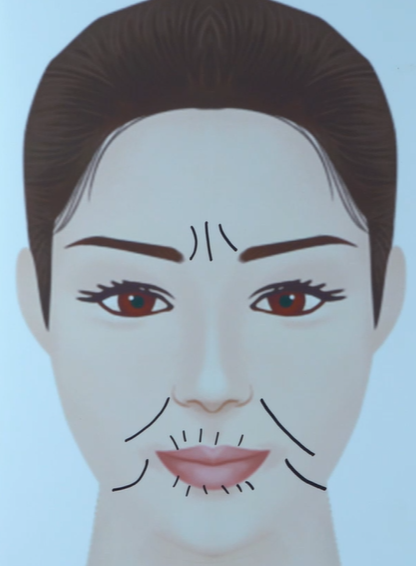 로즈마리추출물 효능