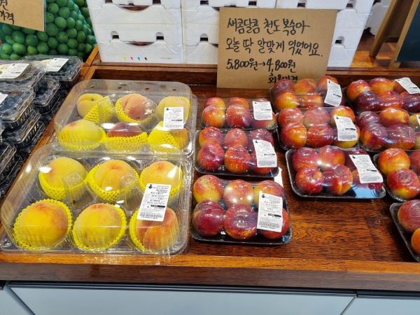 베지래빗804 과일