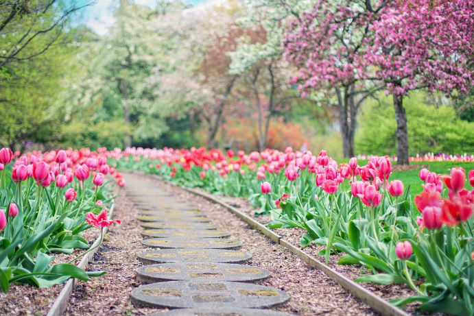 6월 여행하기 좋은곳 BEST 5