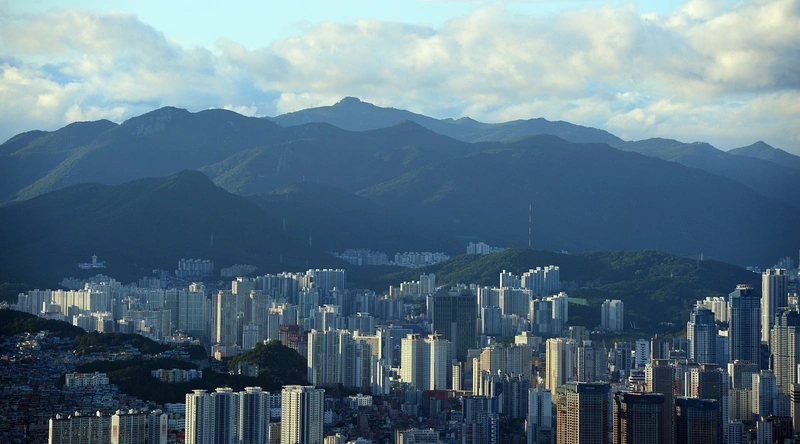 동의 확인 및 관리 방법