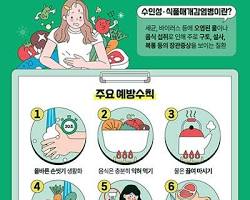 B형 독감 겨울에서 초봄 유행