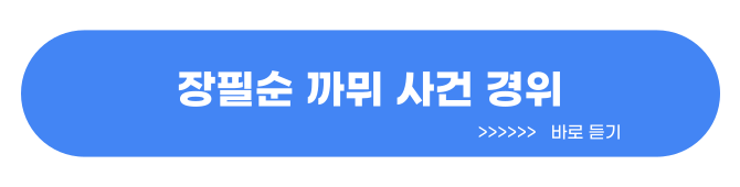 장필순 까뮈 사건 경위