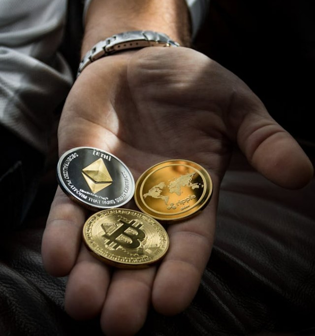 셀레스티아 코인 전망, 지금 사도 될까 기술 구조와 미래가치 총정리