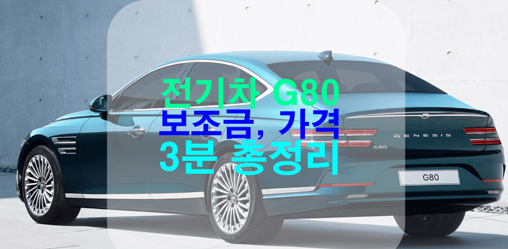 전기차 G80