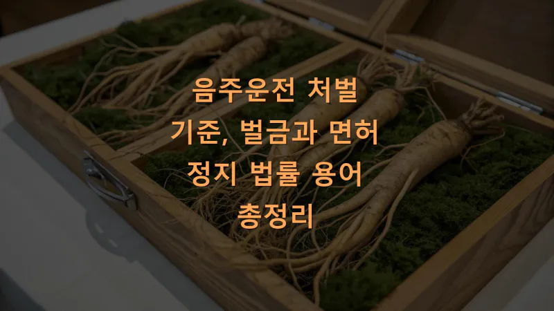 음주운전 처벌 기준, 벌금과 면허 정지 법률 용어 총정리