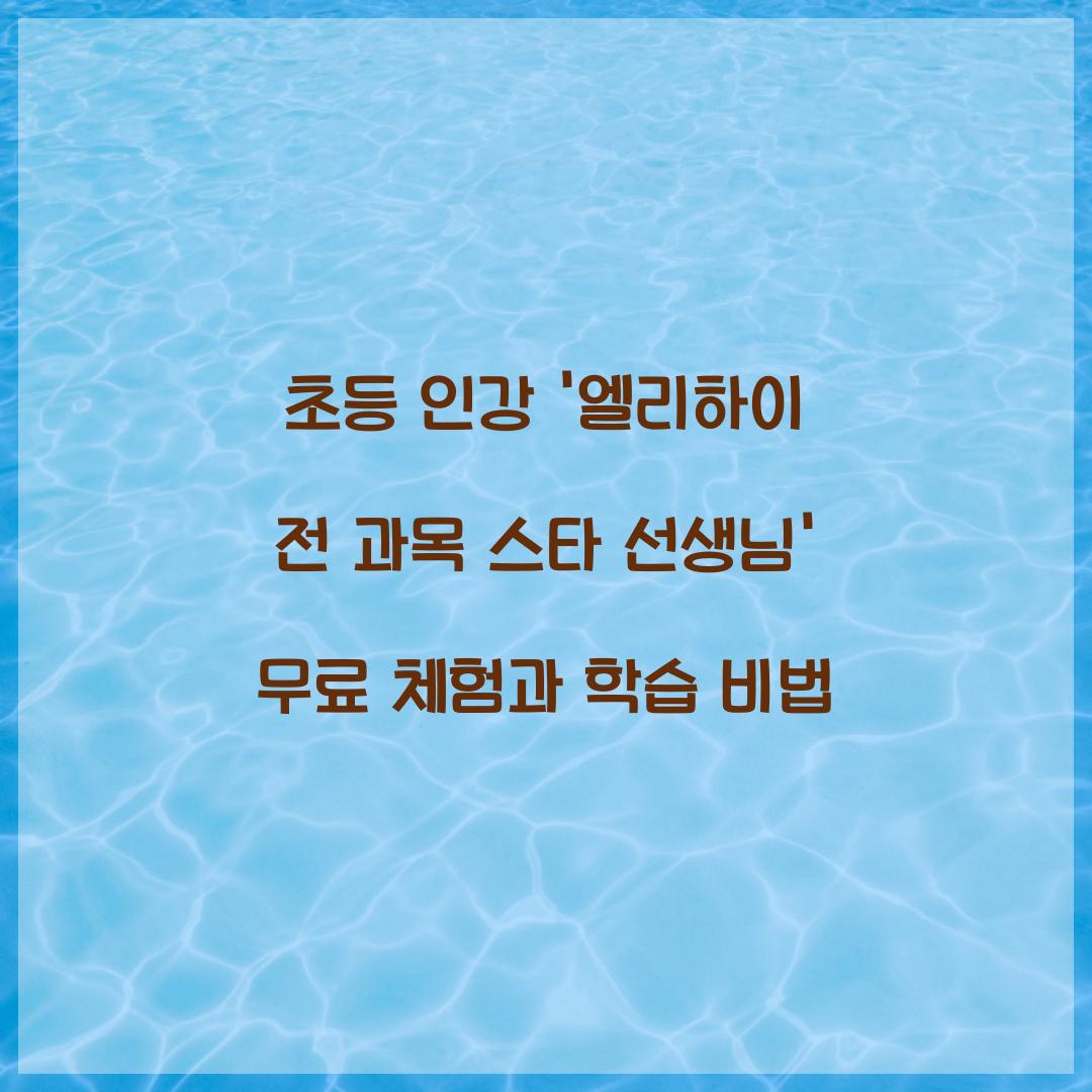엘리하이 전 과목 스타 선생님