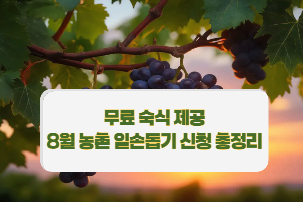 2025년 7월,8월,9월 농촌일손돕기 신청 방법 ❘ 무료 숙식 제공하는 지역은?