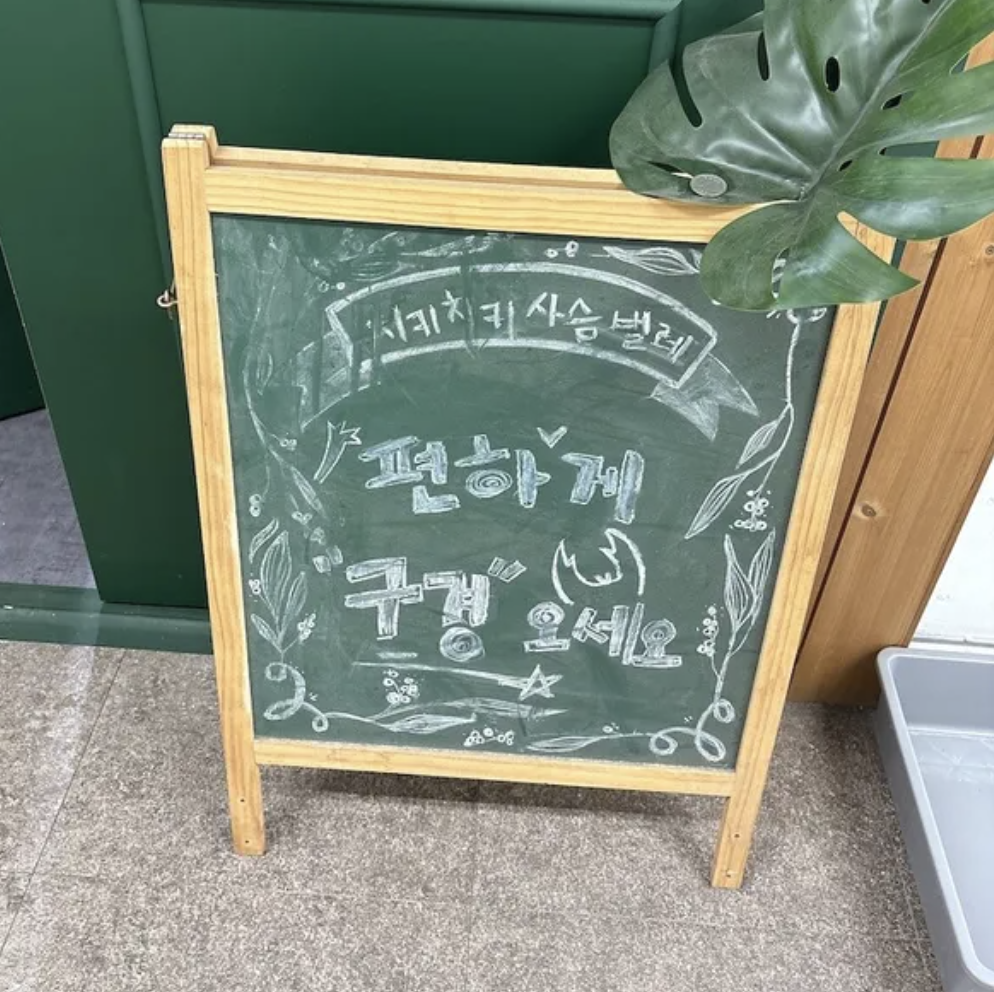 치키치키 사슴벌레