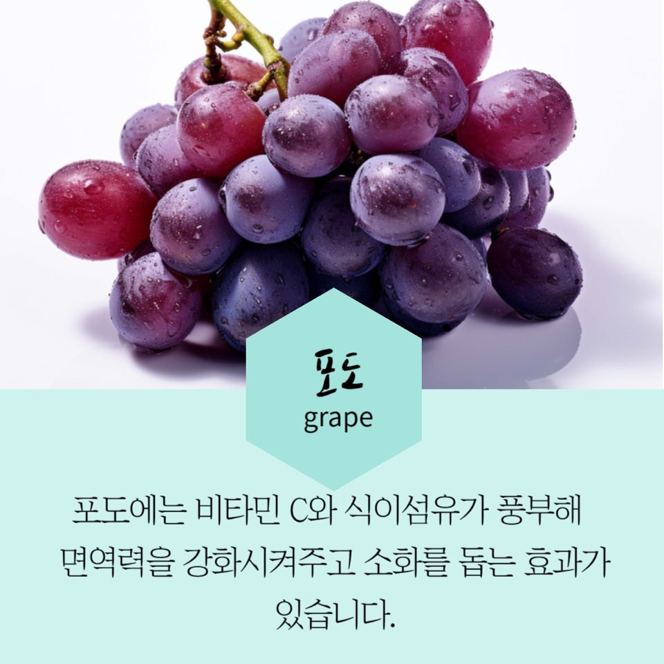 9월제철음식