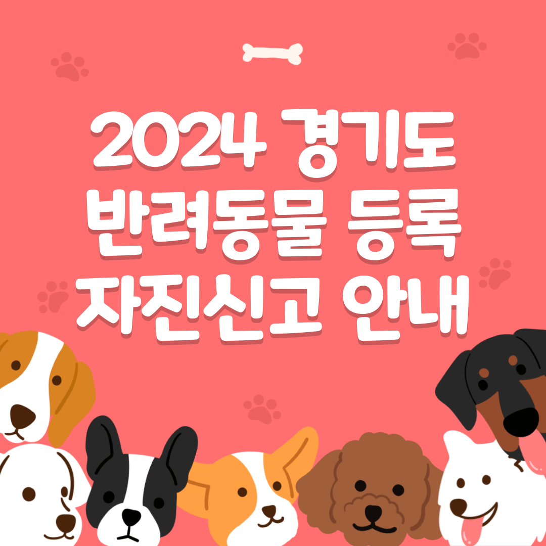 2024 경기도 반려동물 등록 자진신고 안내