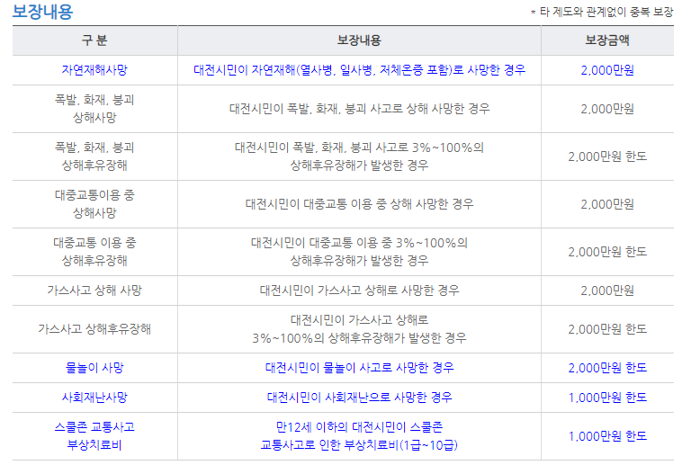 대전 시민안전보험