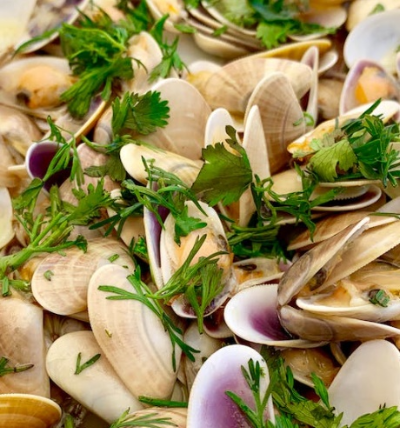 꼬막 해감쉽게하는법