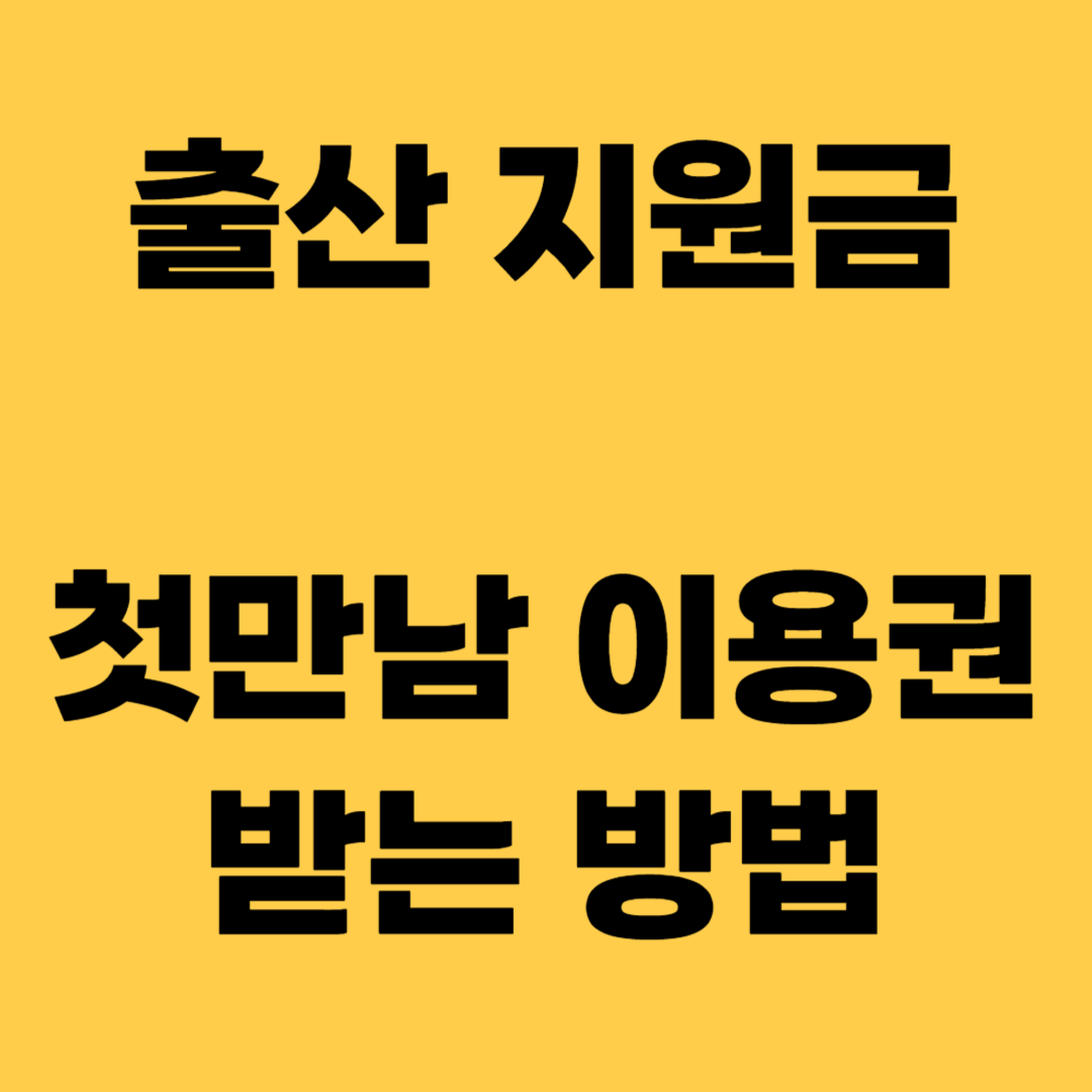 출산지원금 첫만남 이용권