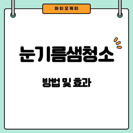 눈기름샘청소