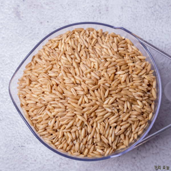 귀리 효능│귀리 효능과 부작용 알고 드세요!