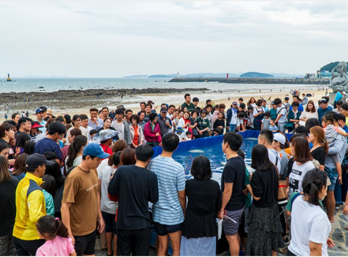 2025년 무창포 쭈꾸미 도다리 대잔치 맨손고기잡기 체험 사진