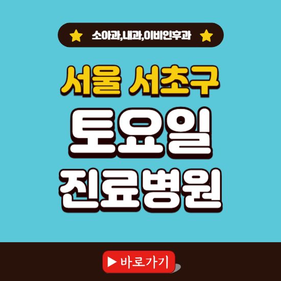 서울 서초구 토요일 진료 병원 찾기 ❘ 주말 문여는 소아과, 내과, 이비인후과 리스트