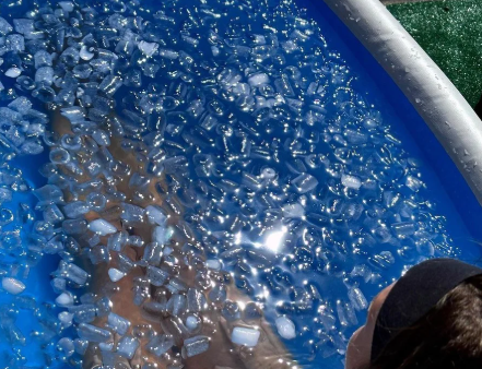 콜드플런지 효능 효과 원리 냉수욕 방법